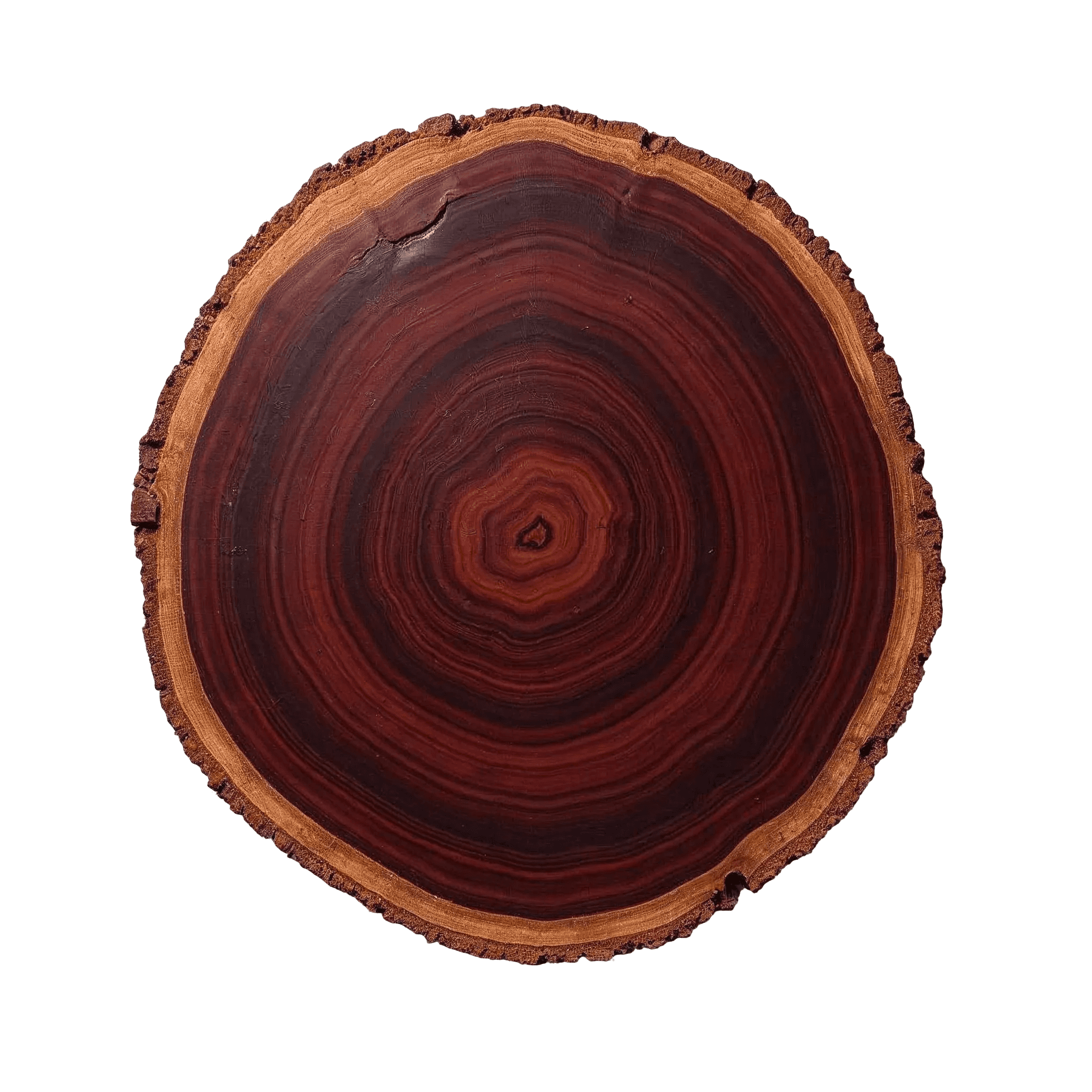 BRAZILIAN ROSEWOOD