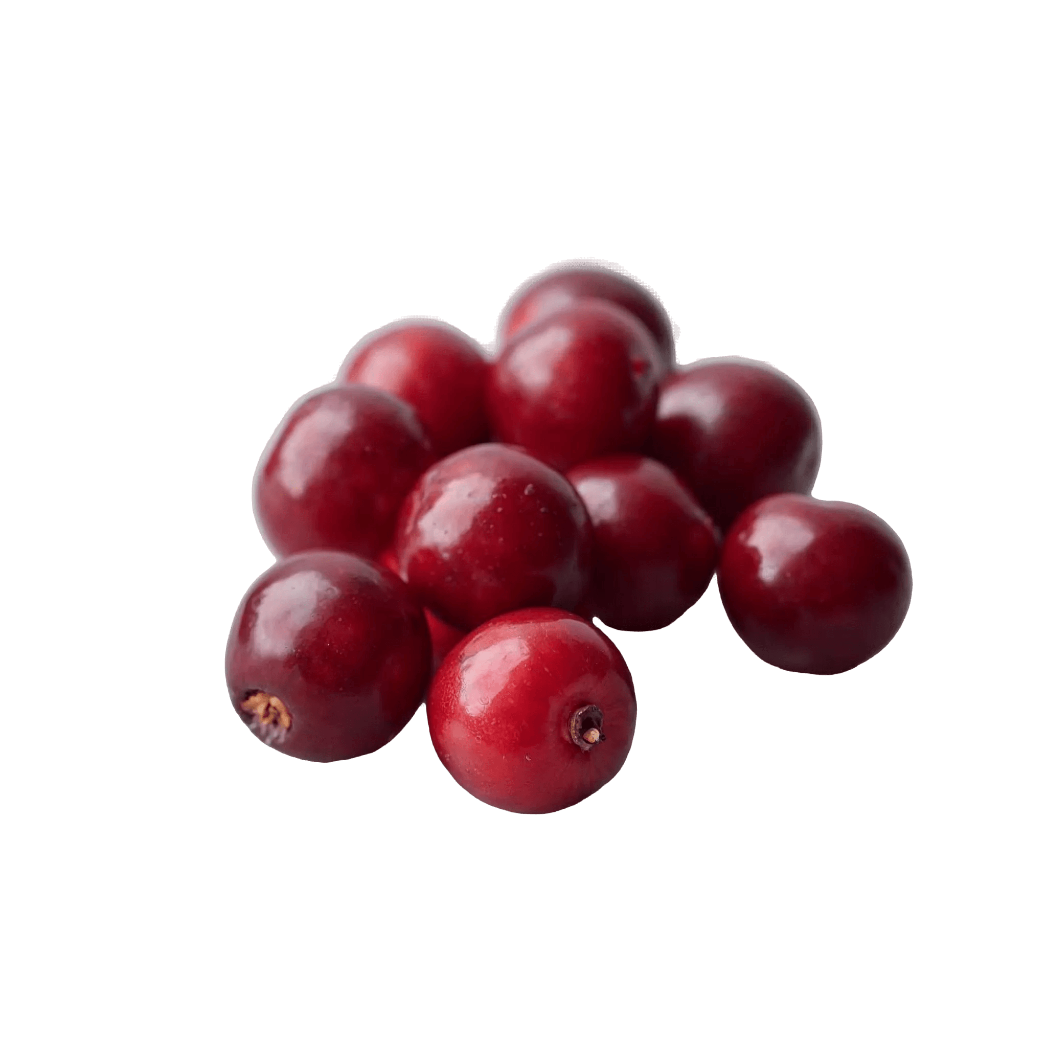 CRANBERRY