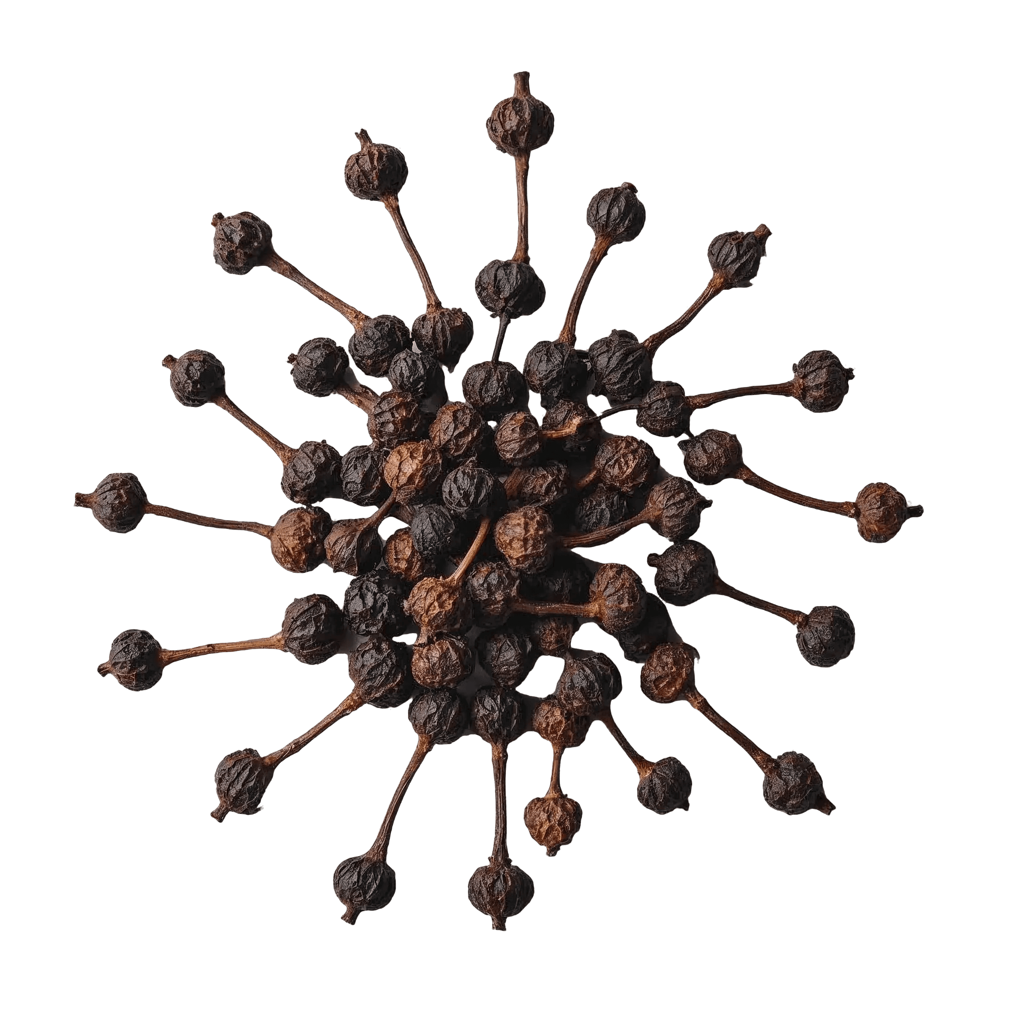 CUBEB