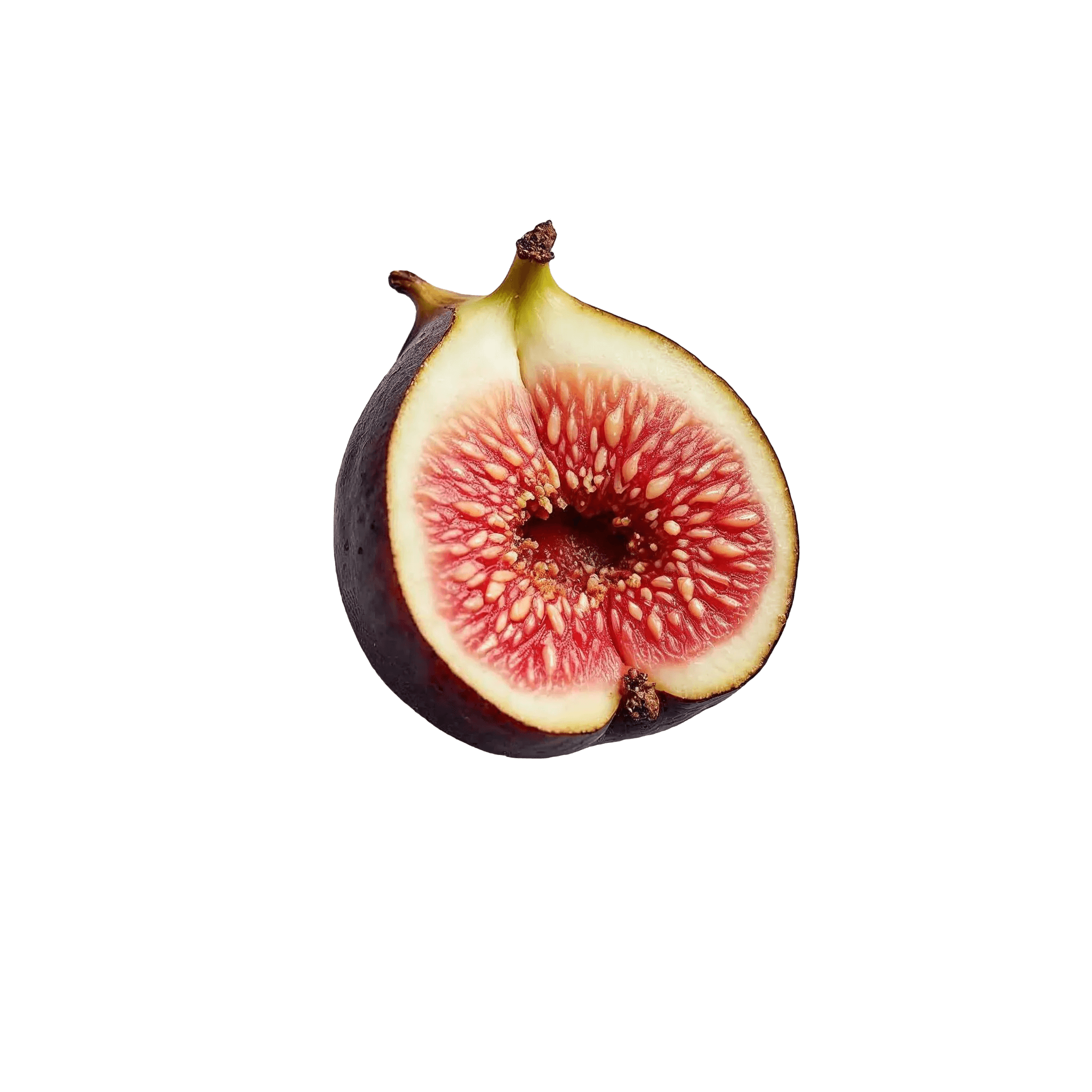 FIG