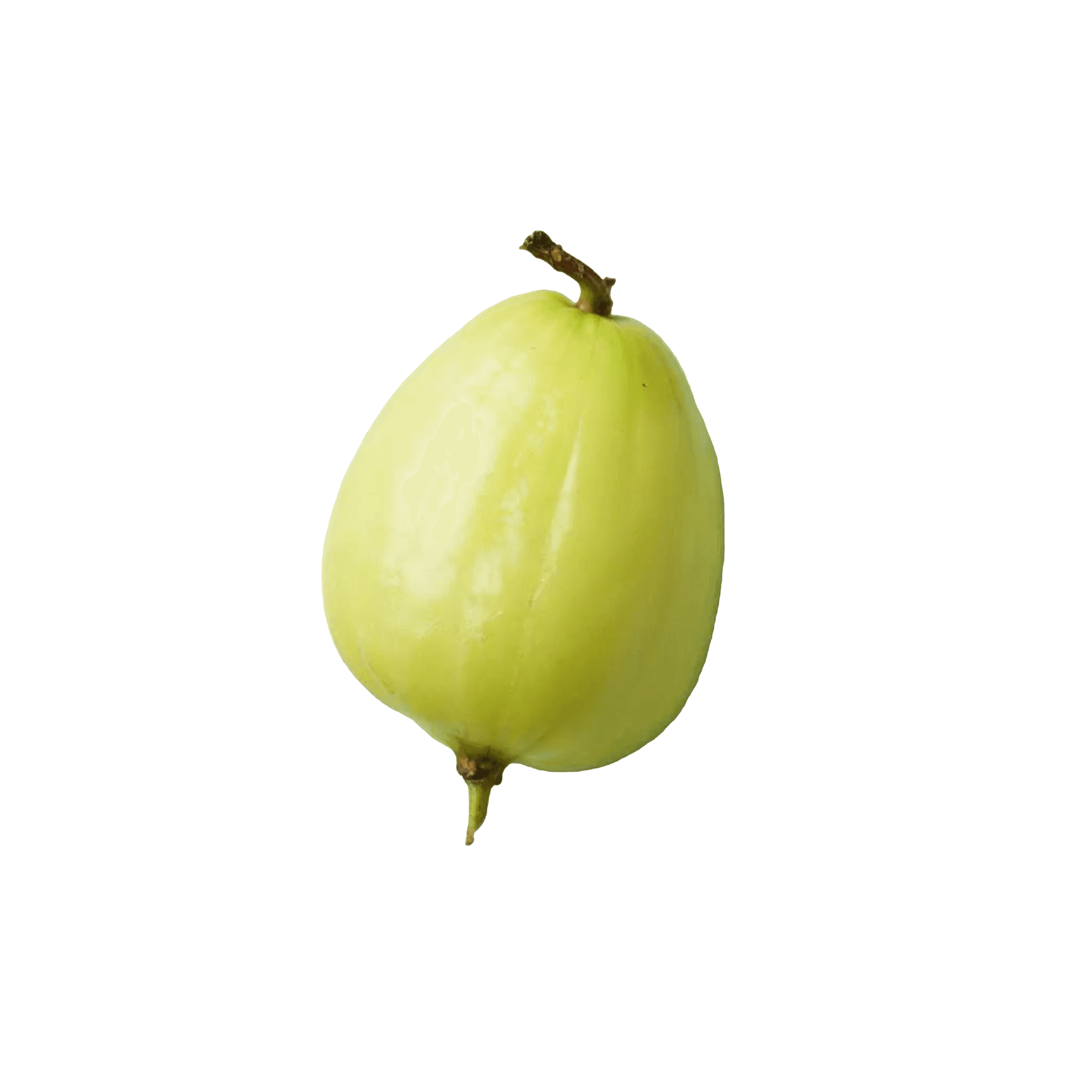 GOOSEBERRY