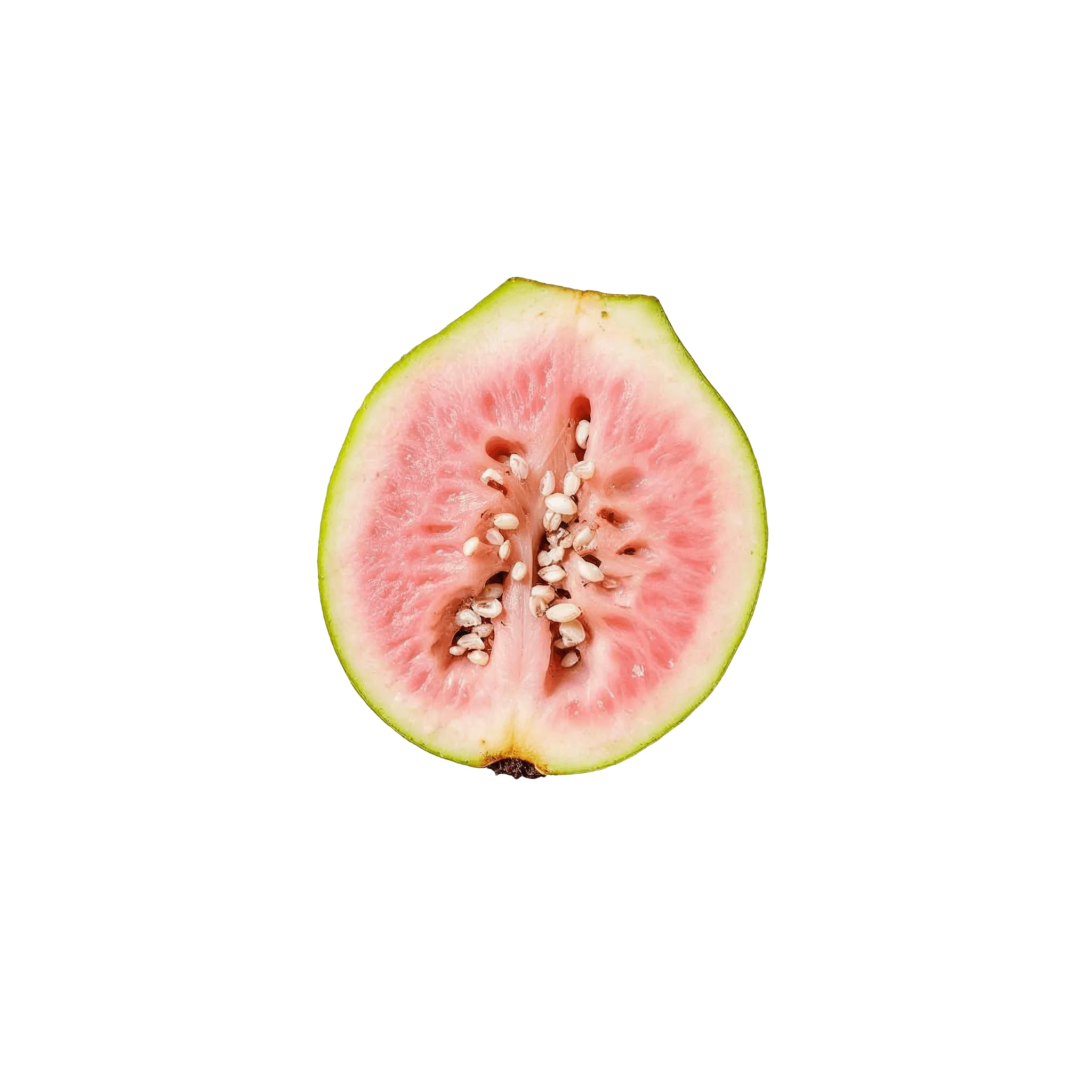 GUAVA