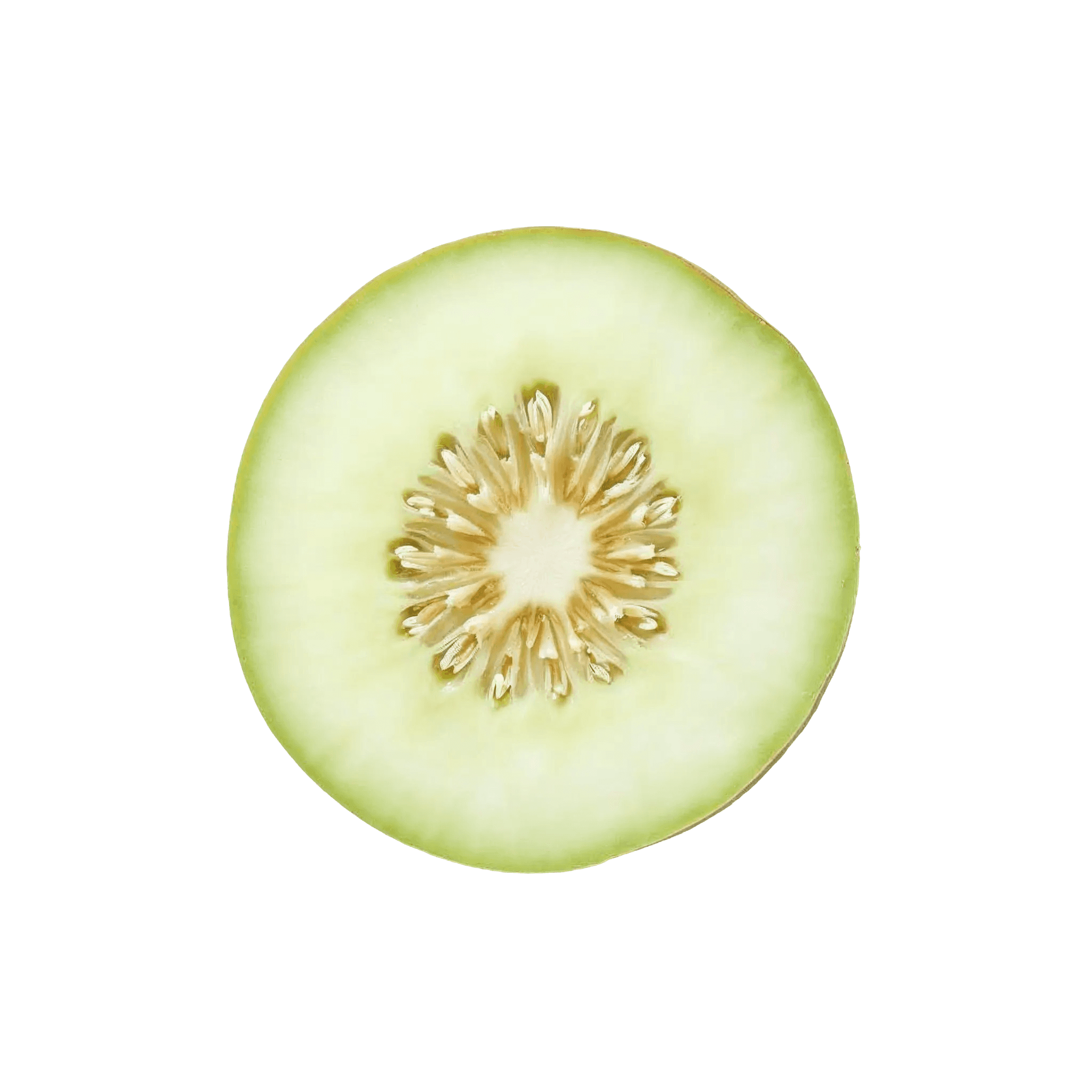 MELON