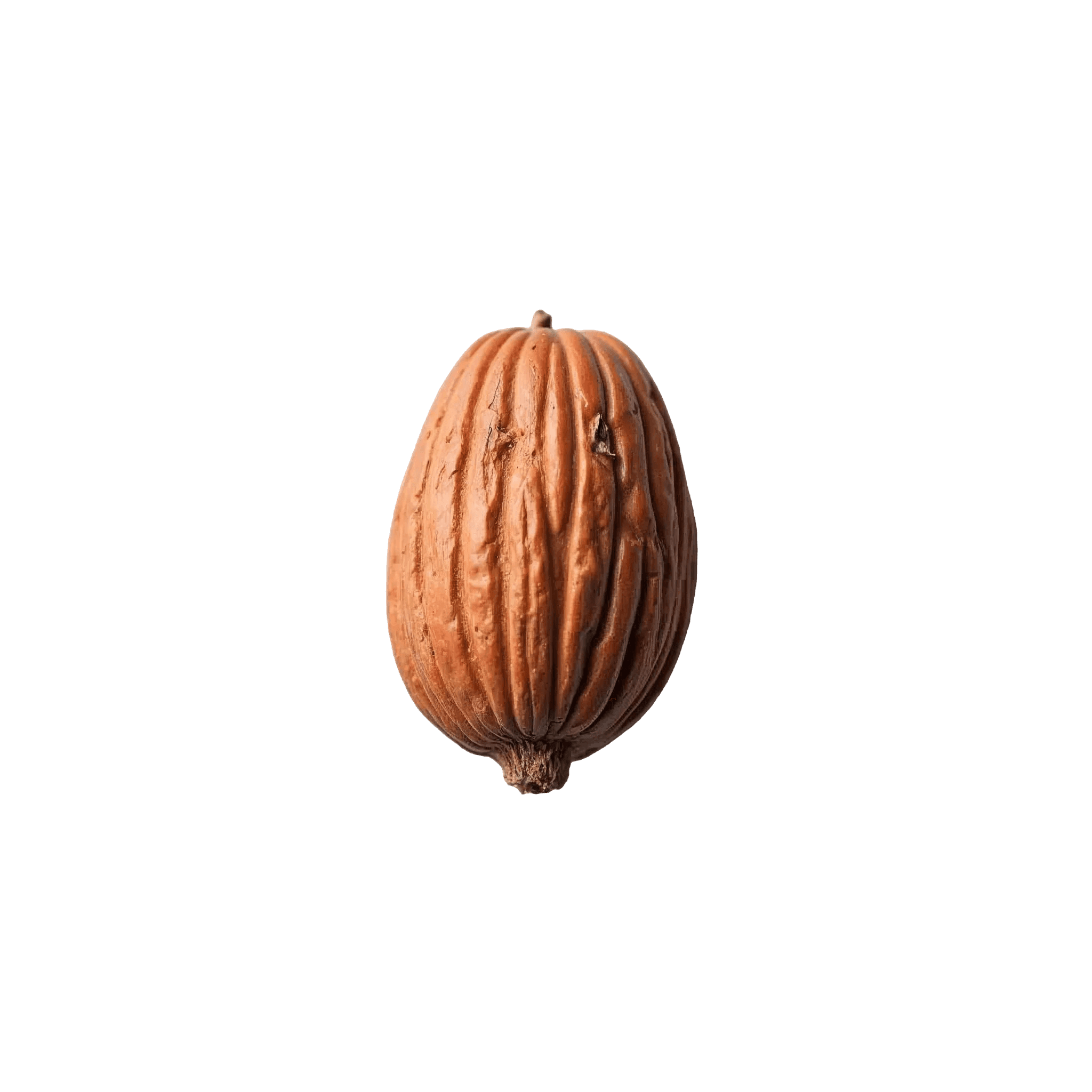 NUTMEG