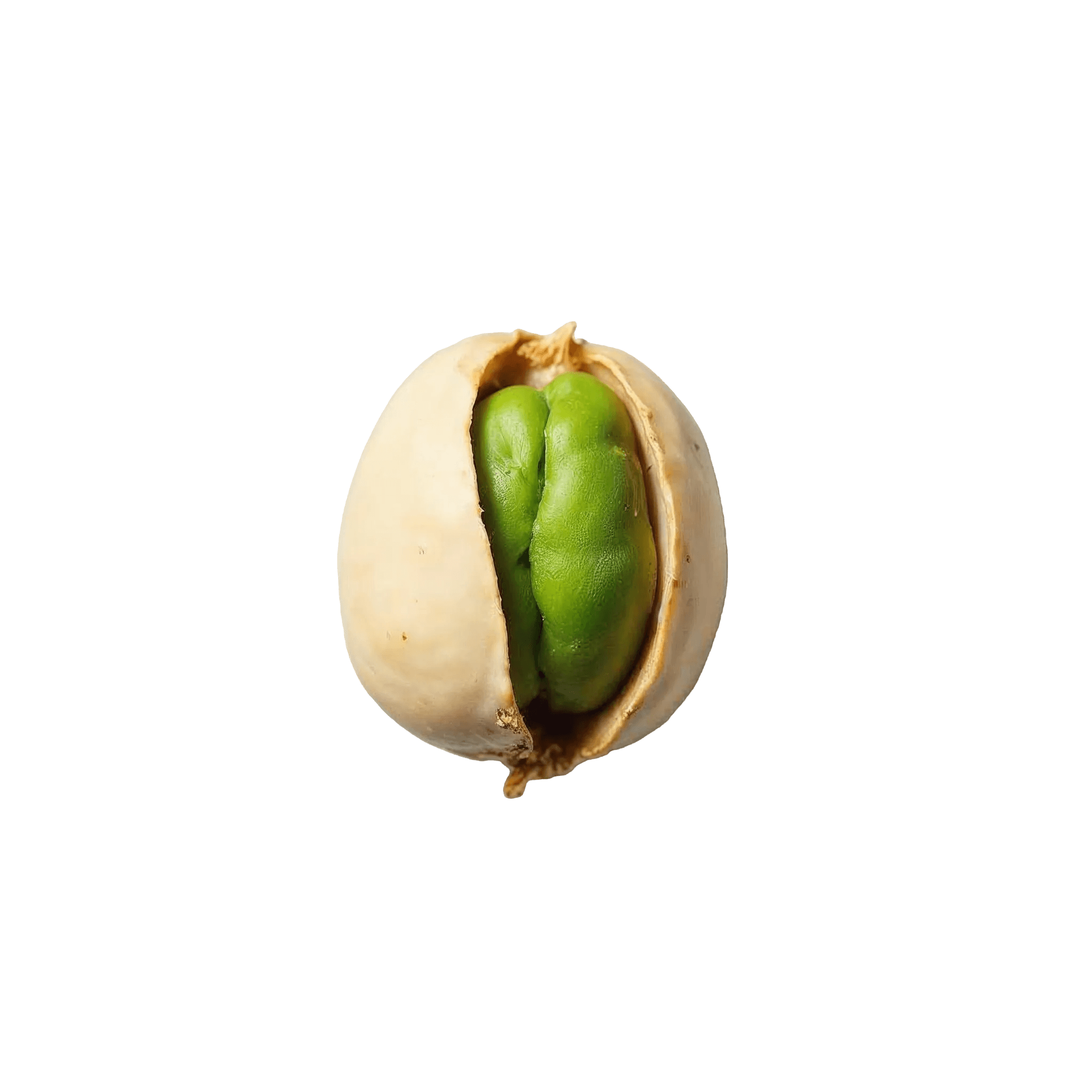 PISTACHIO