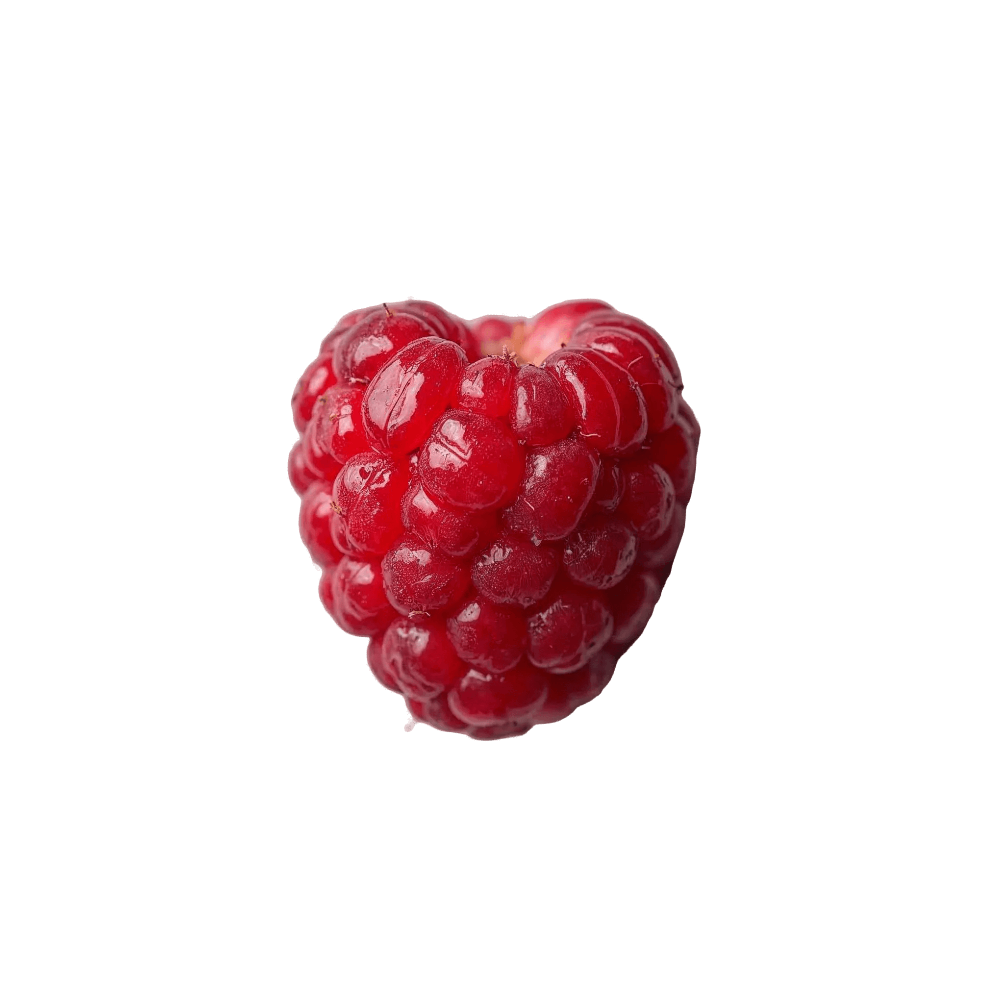 RASPBERRY