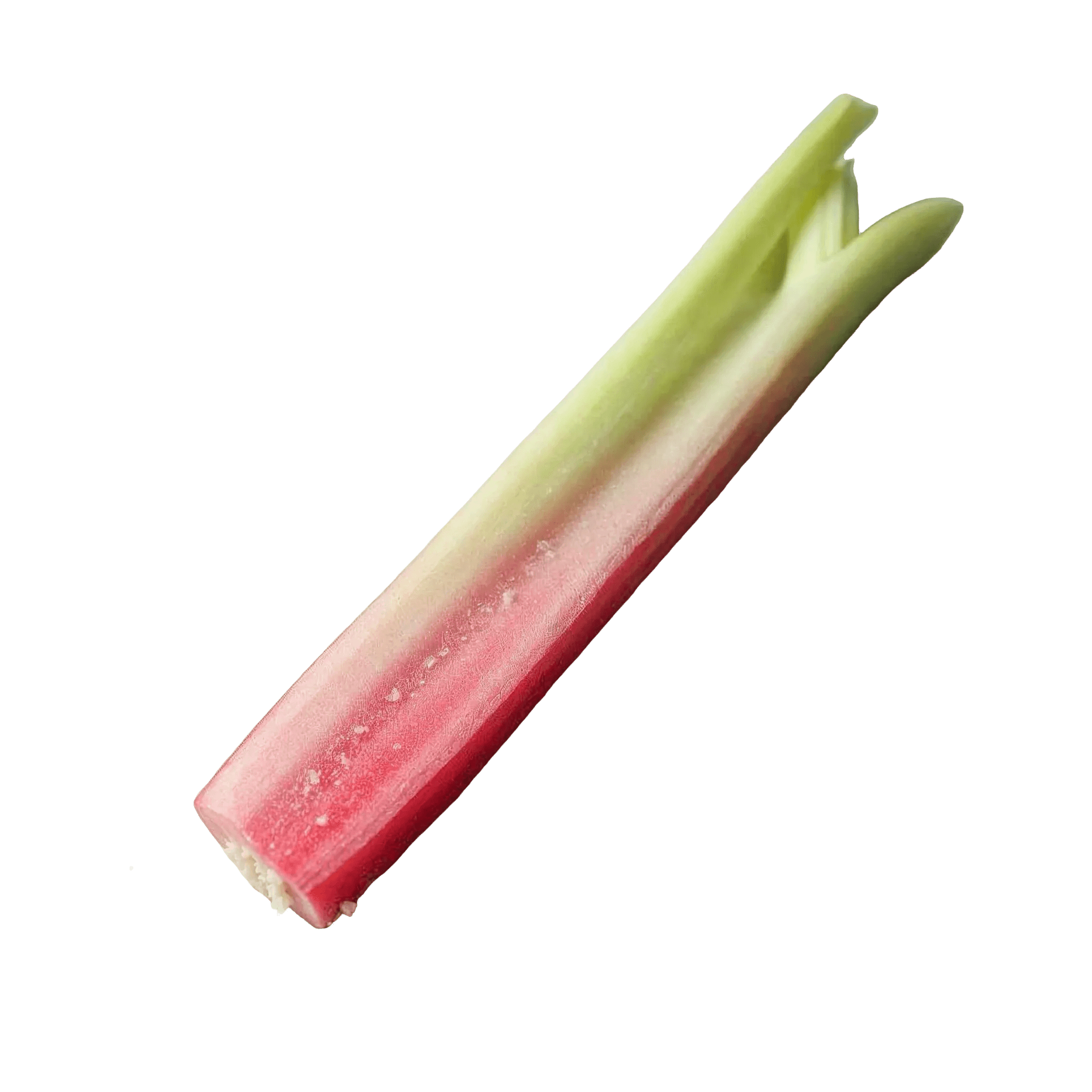 RHUBARB