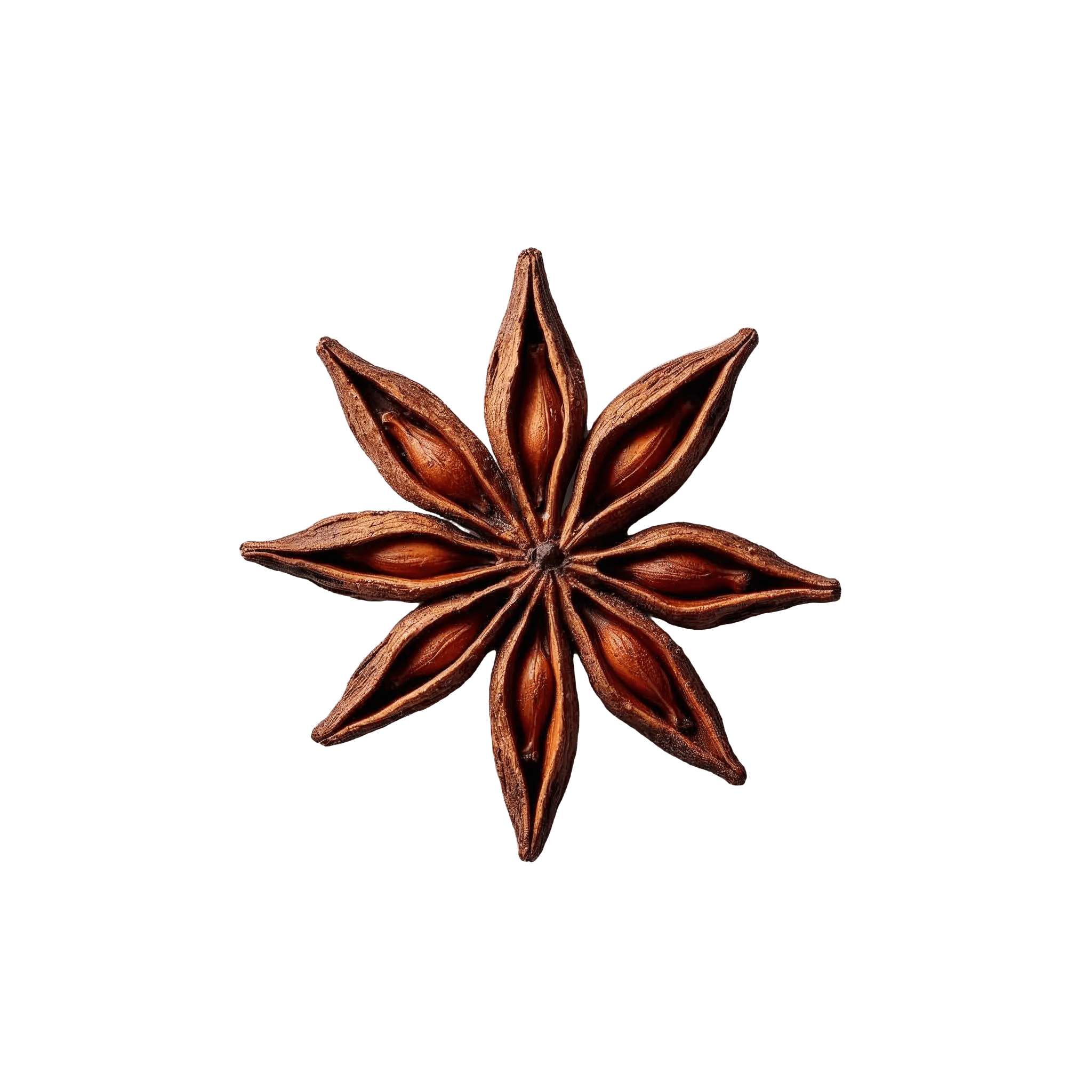 STAR ANISE