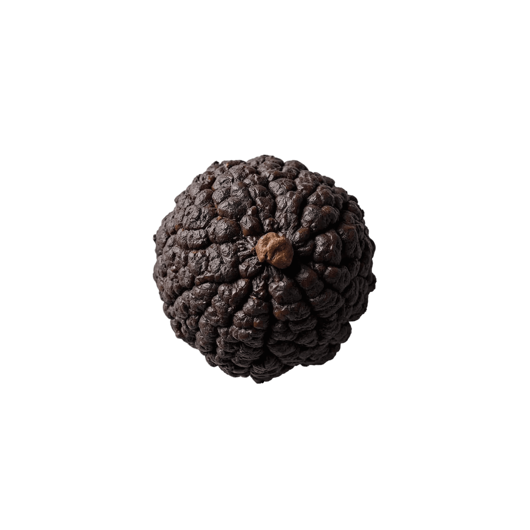 TRUFFLE