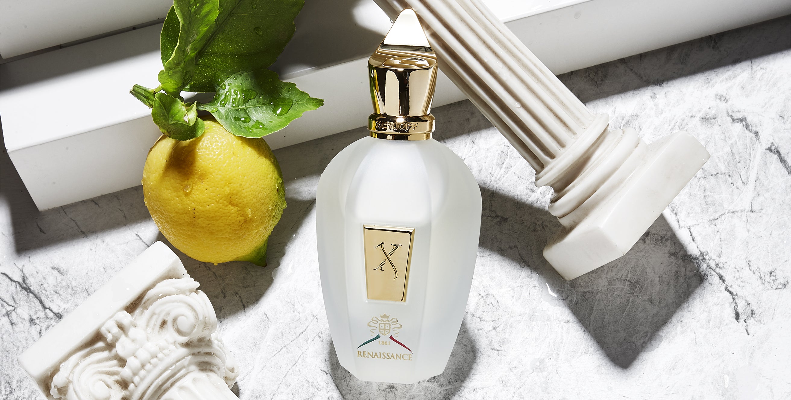 RENAISSANCE - Size 3