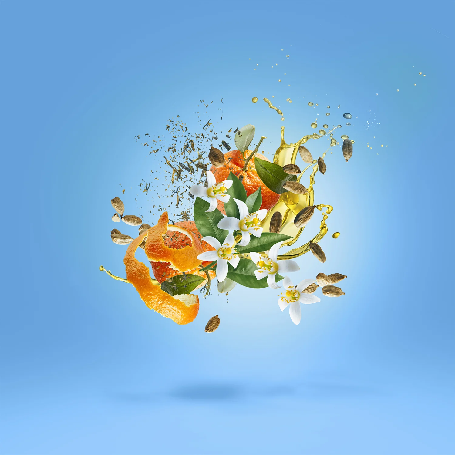 1986 - xerjoff-1986-notes.webp