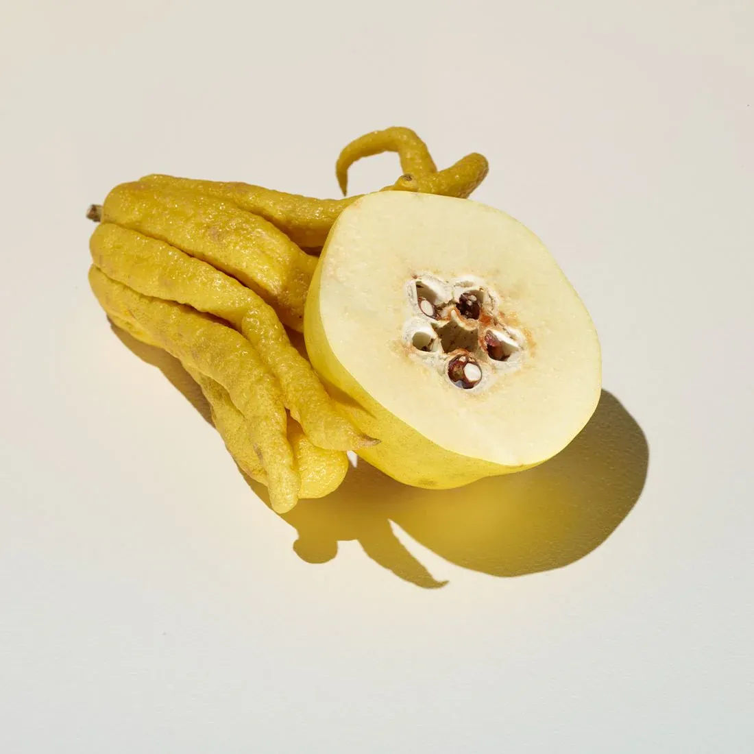 202: WATERMELON, RED CURRANT & JASMINE - imgi_16_3_8cc735d2-1d8e-4783-a4d5-4ea410c515d1.webp