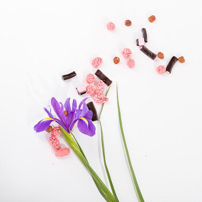 501: PRALINE, LICORICE & PATCHOULI - image_197bba3d-a77b-41c7-9cc5-fcbe85efd6c4_1080x.jpg