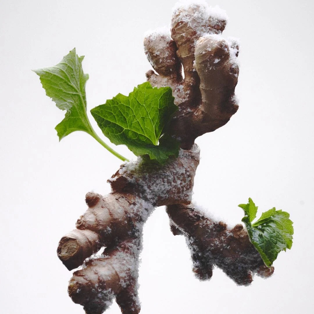 803: SEA SPRAY, GINGER & PATCHOULI - imgi_10_Sanstitre-2023-03-30T173552.574.jpg