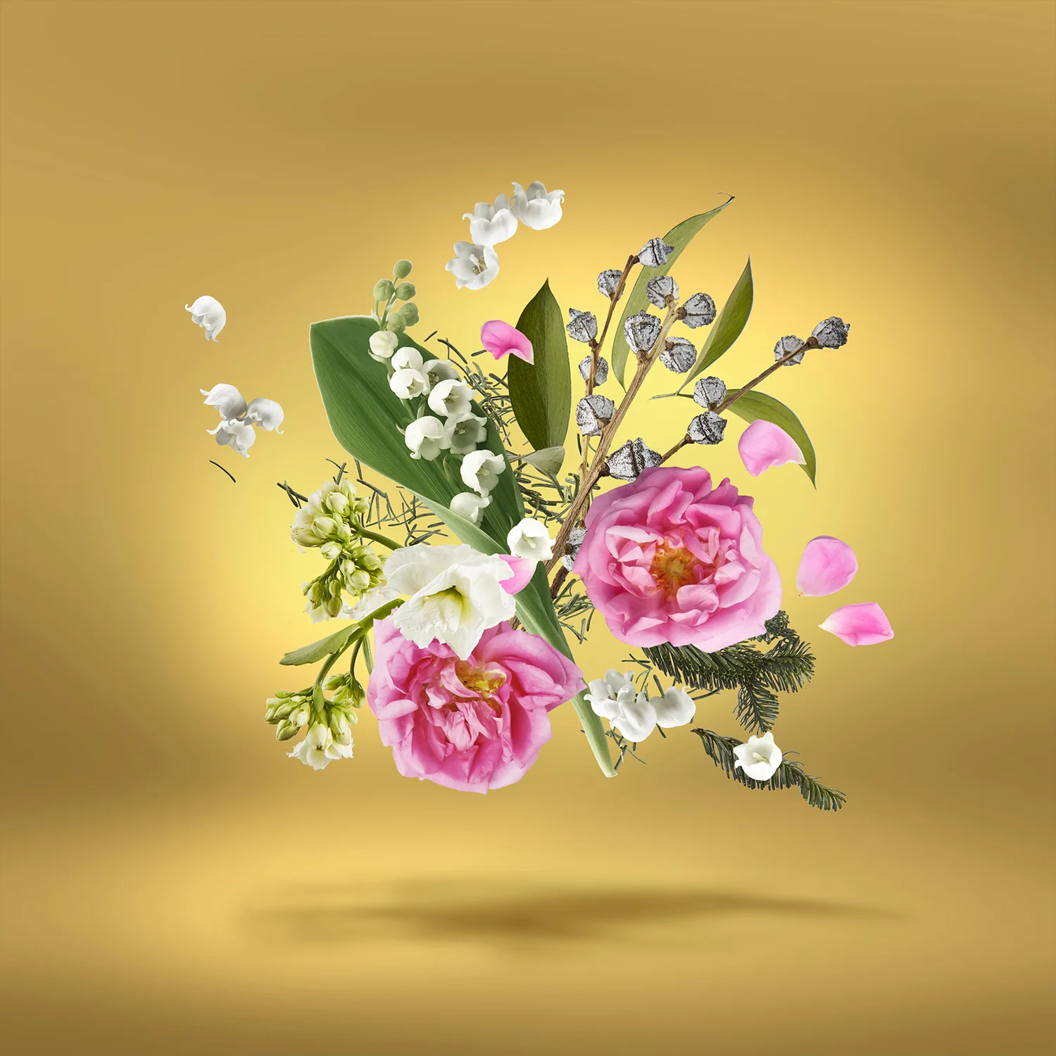 ACCENTO OVERDOSE - xerjoff-accentooverdose-notes.webp