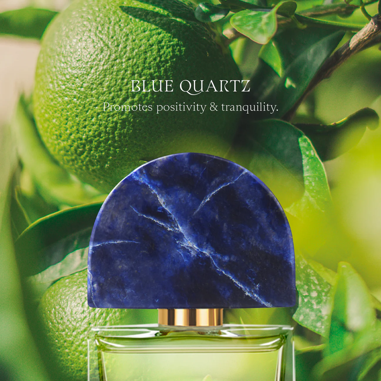 AGUA DE SANTOS - AGUCap_1296x.webp