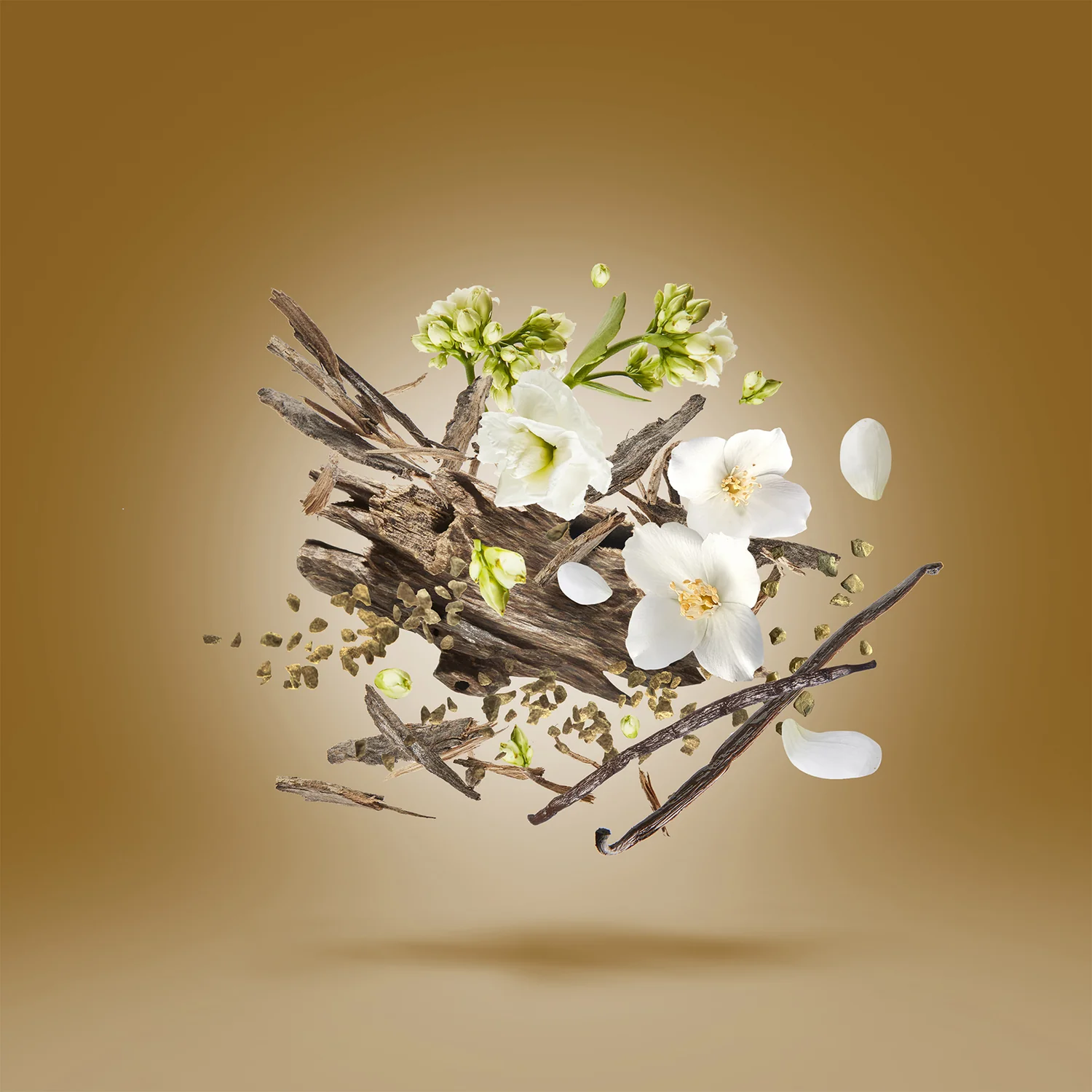 AL-KHATT - xerjoff-al-khatt-notes.webp