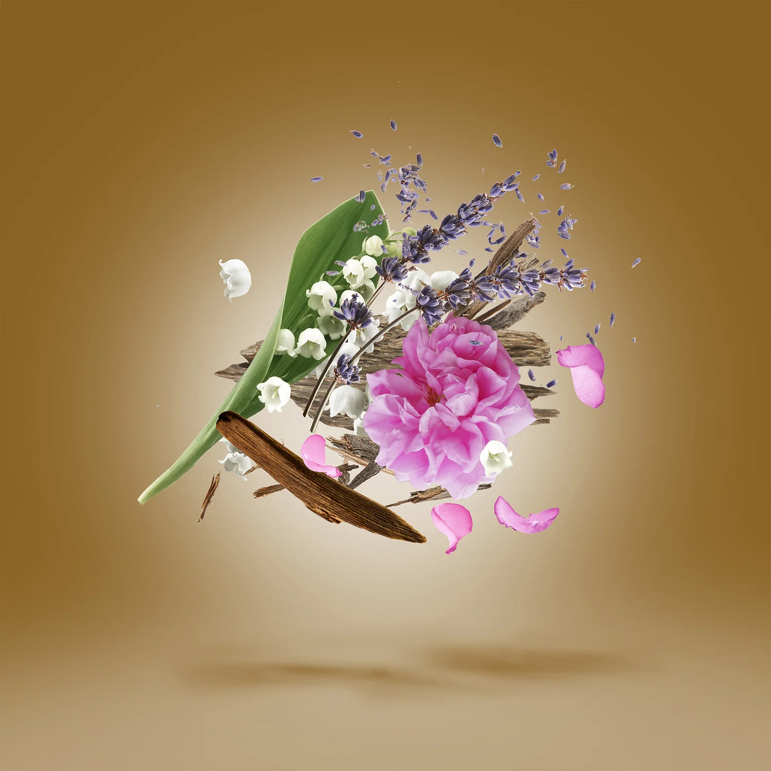 ALEXANDRIA II - xerjoff-alexandriaII-notes.webp