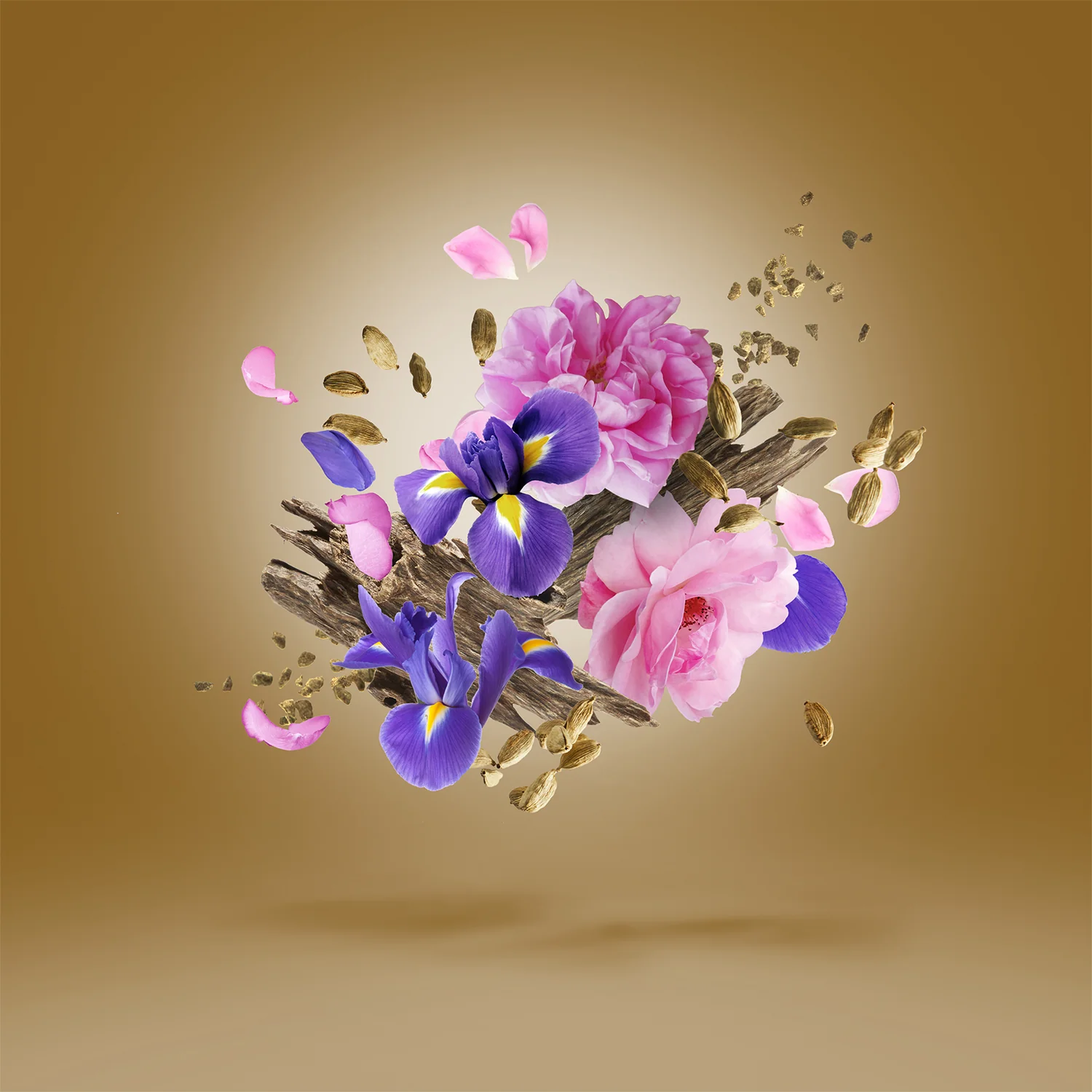 ALEXANDRIA II ANNIVERSARY - xerjoff-alexandriaIIaniversary-notes.webp