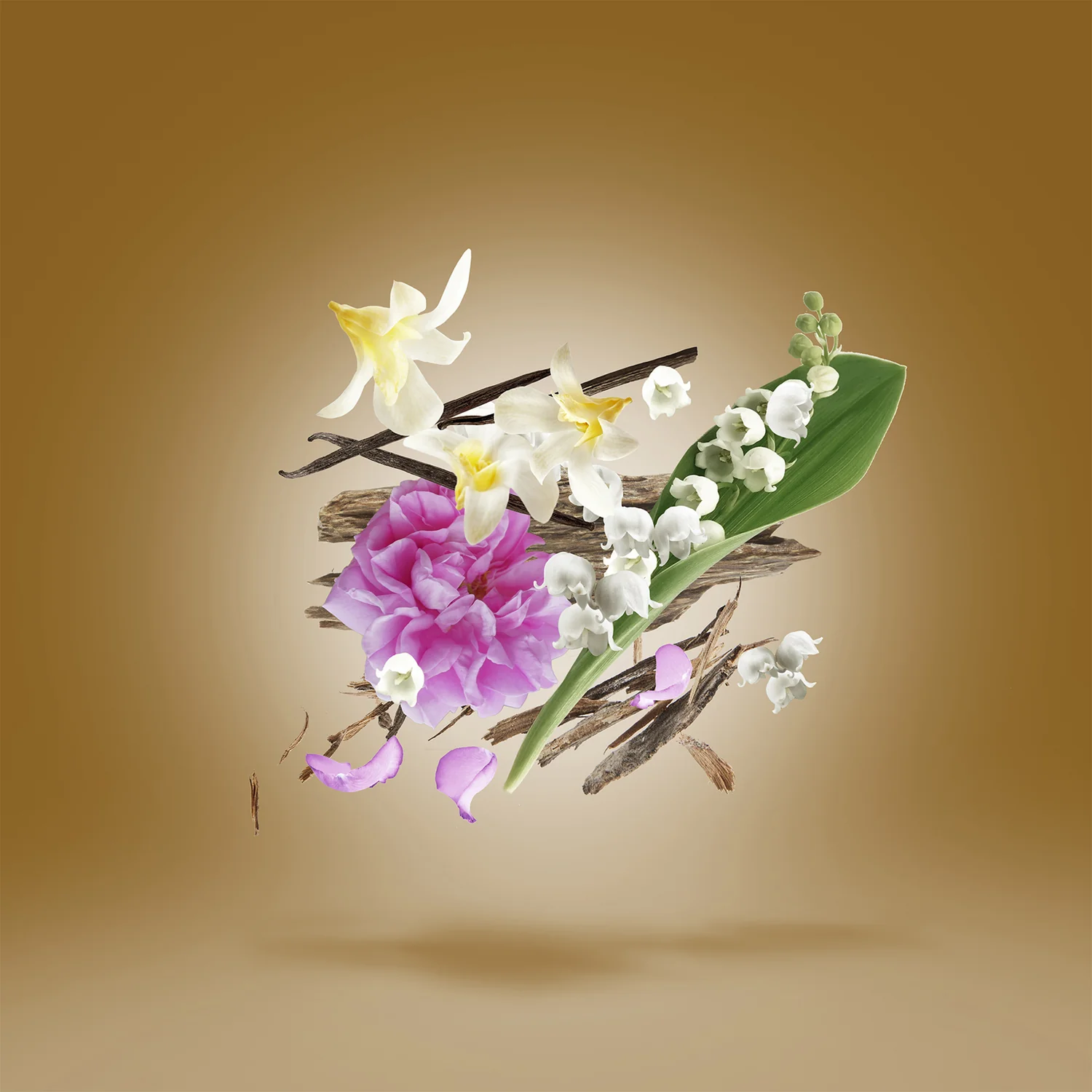 ALEXANDRIA III - xerjoff-alexandriaIII-notes.webp