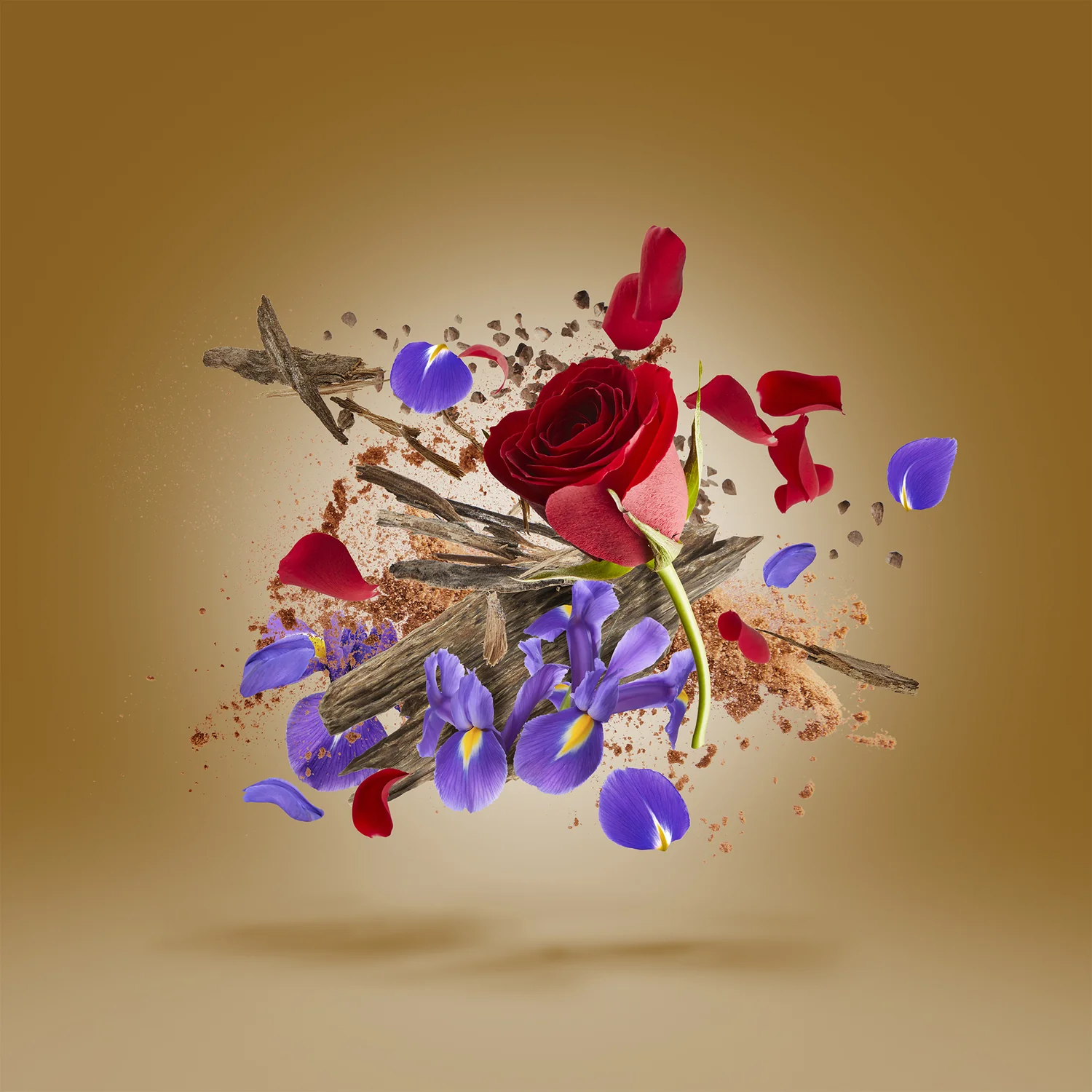 ALEXANDRIA ORIENTALE - xerjoff-alexandriaorientale-notes.webp