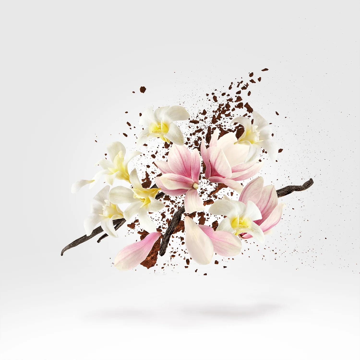 ALLENDE - xerjoff-allende-notes.webp