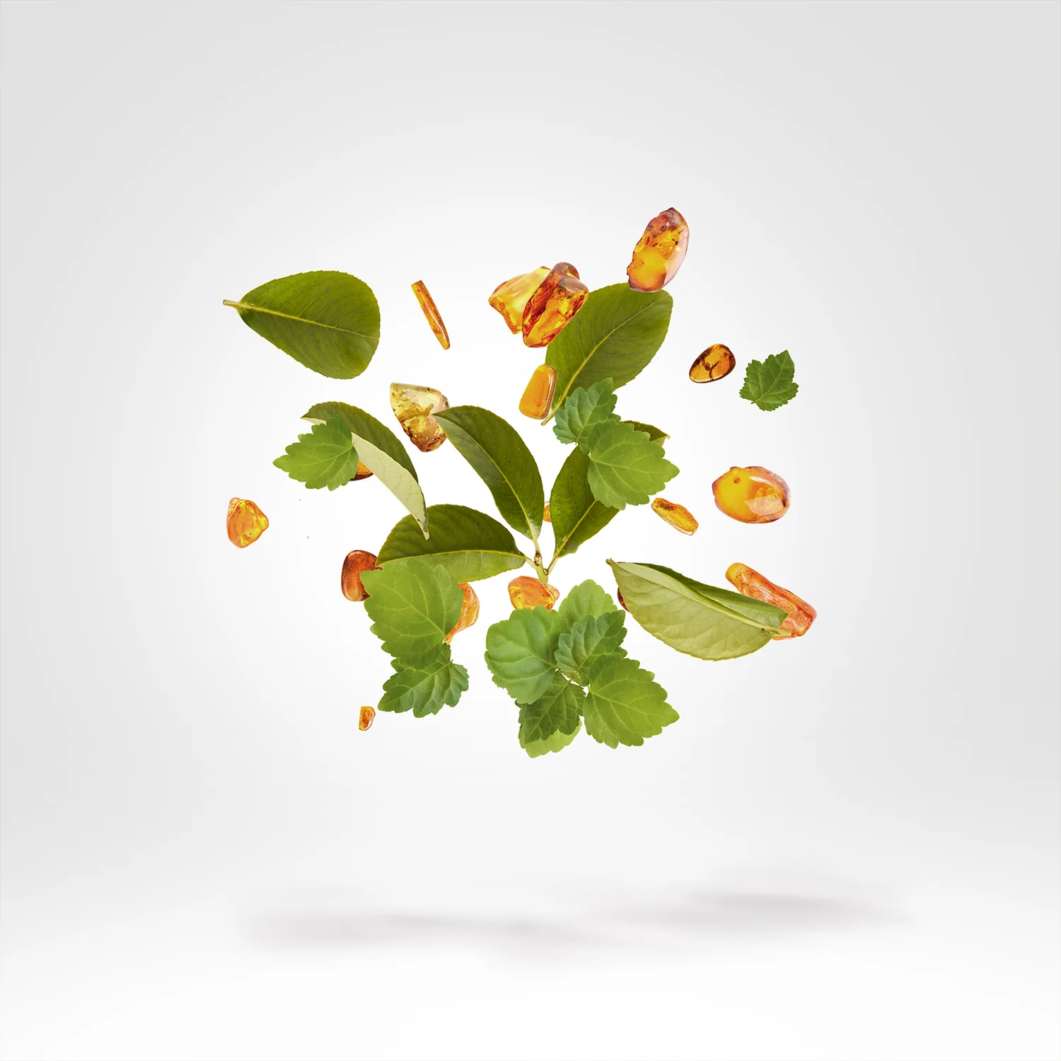 AMBER GOLD & ROSE GOLD - xerjoff-ambergold-notes.webp