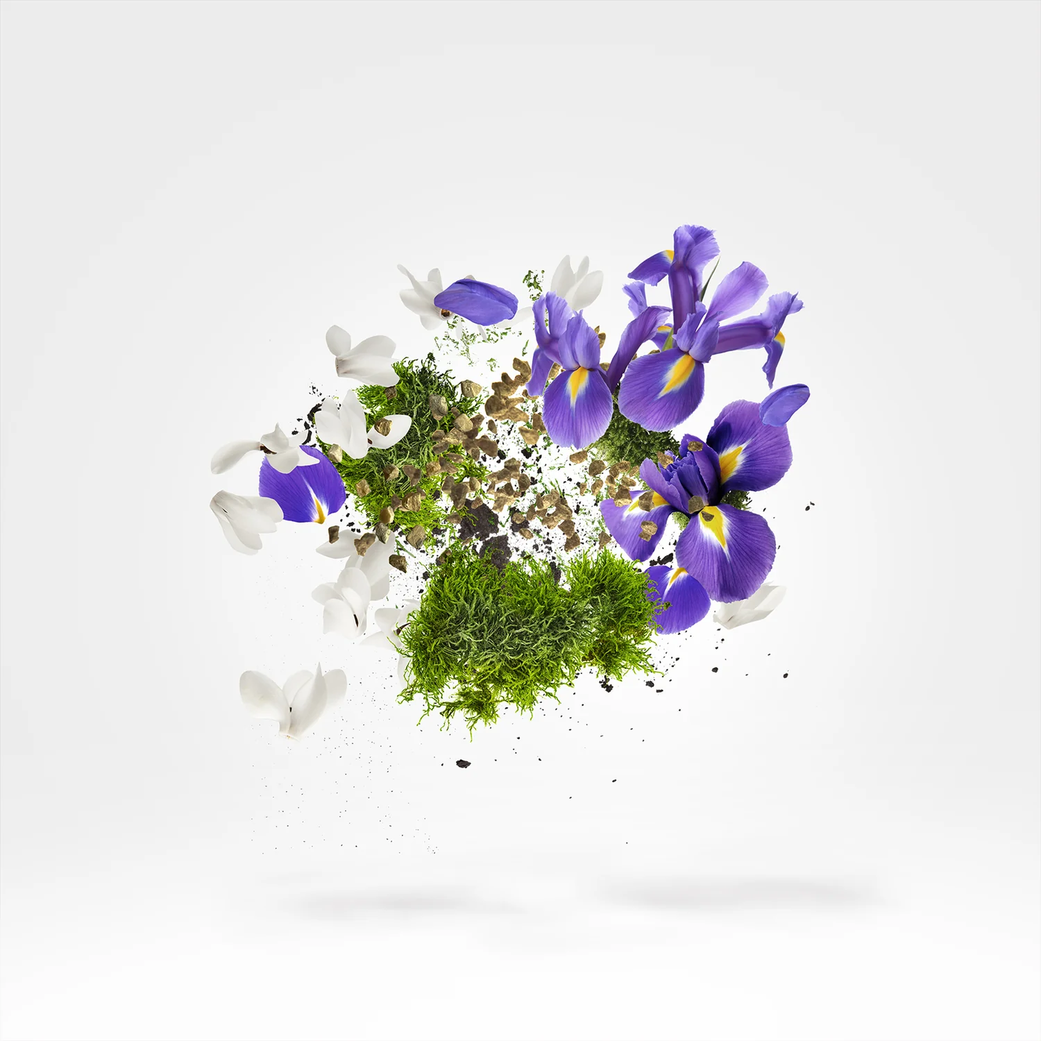 AMBER STAR & STAR MUSK - xerjoff-starmusk-notes.webp