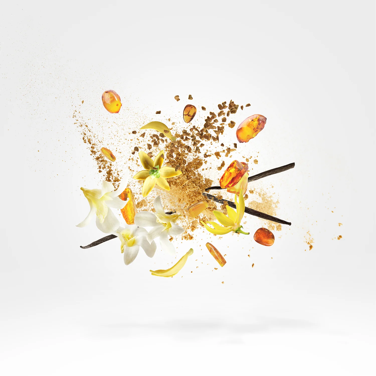 AMBER STAR & STAR MUSK - xerjoff-ambermusk-notes.webp