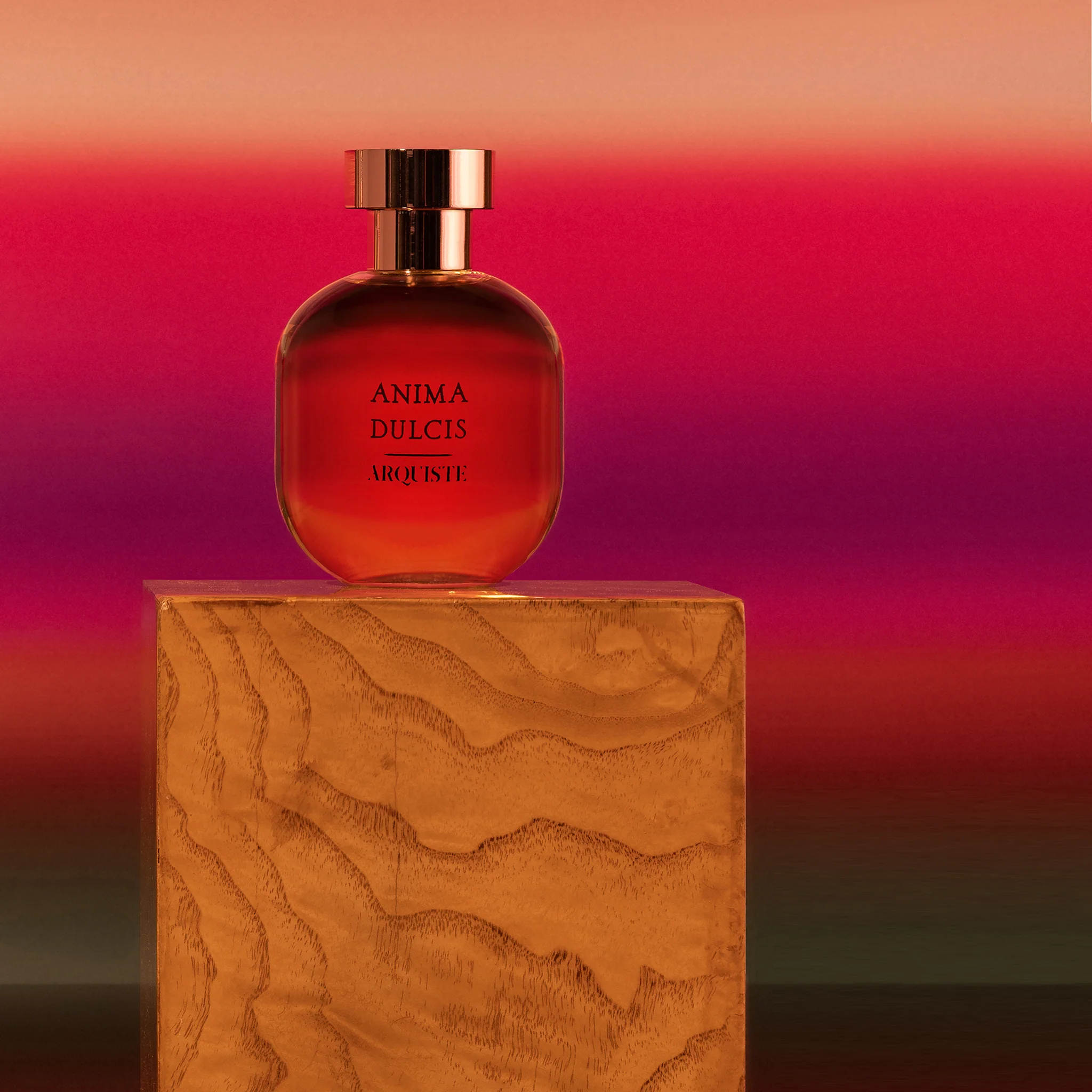 ANIMA DULCIS - ARQUISTE_10_AnimaDulcis_square_1024x1024@2x.webp