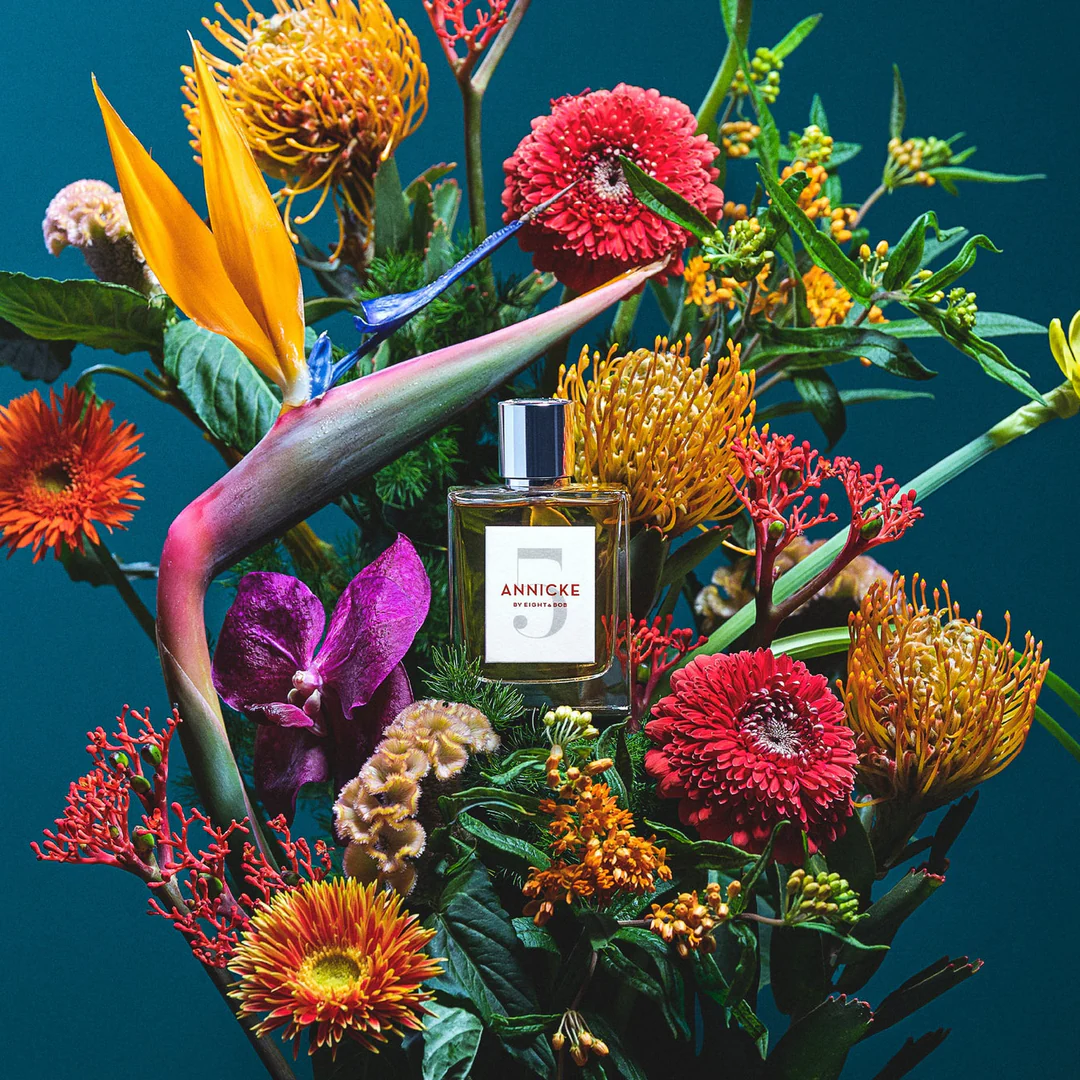 ANNICKE 5 - webANNICKE_5940x700_1344x1344_11eccfa8-7425-426f-aac7-e8aaf36fa6a9_1080x.webp