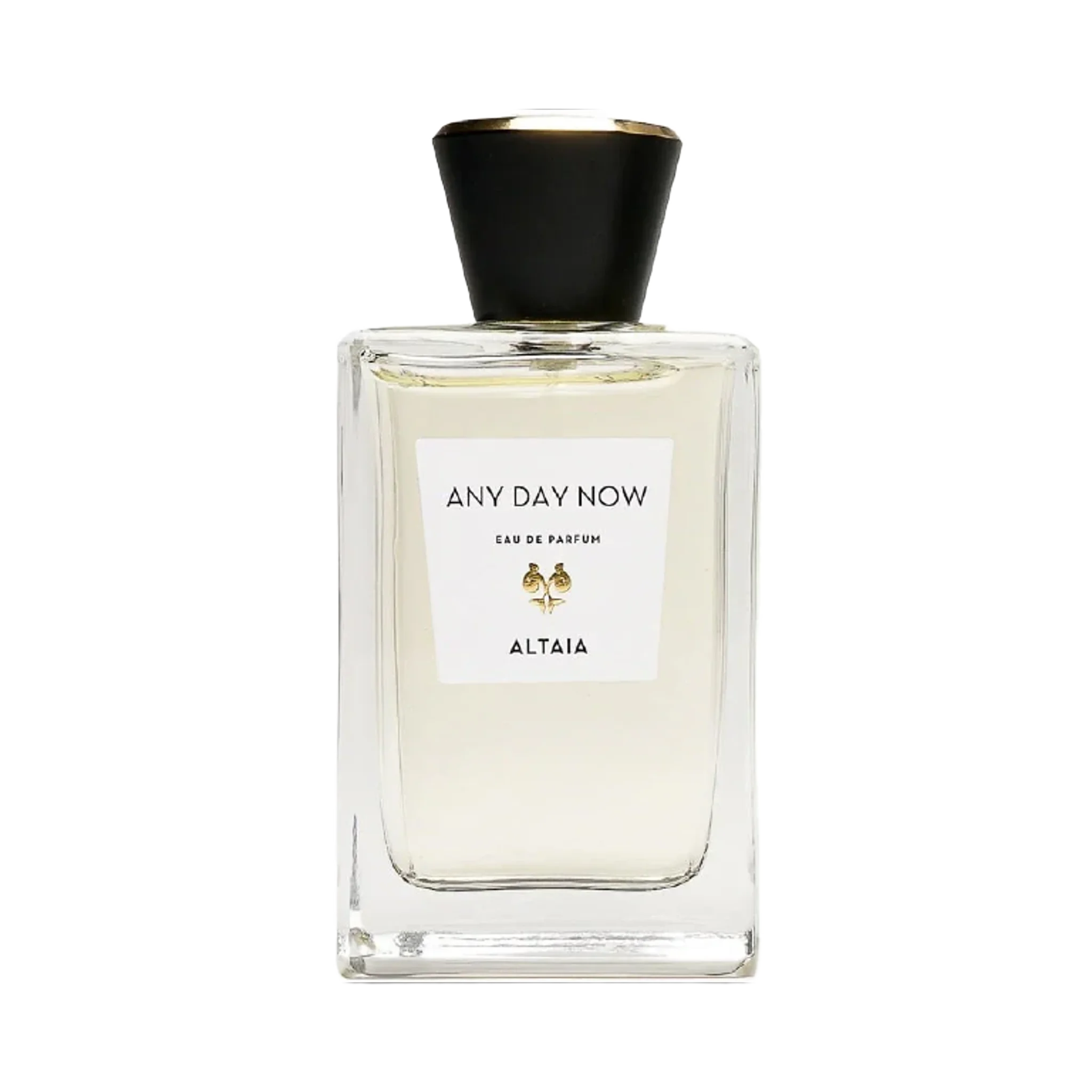 Any Day Now - 47055-min.webp