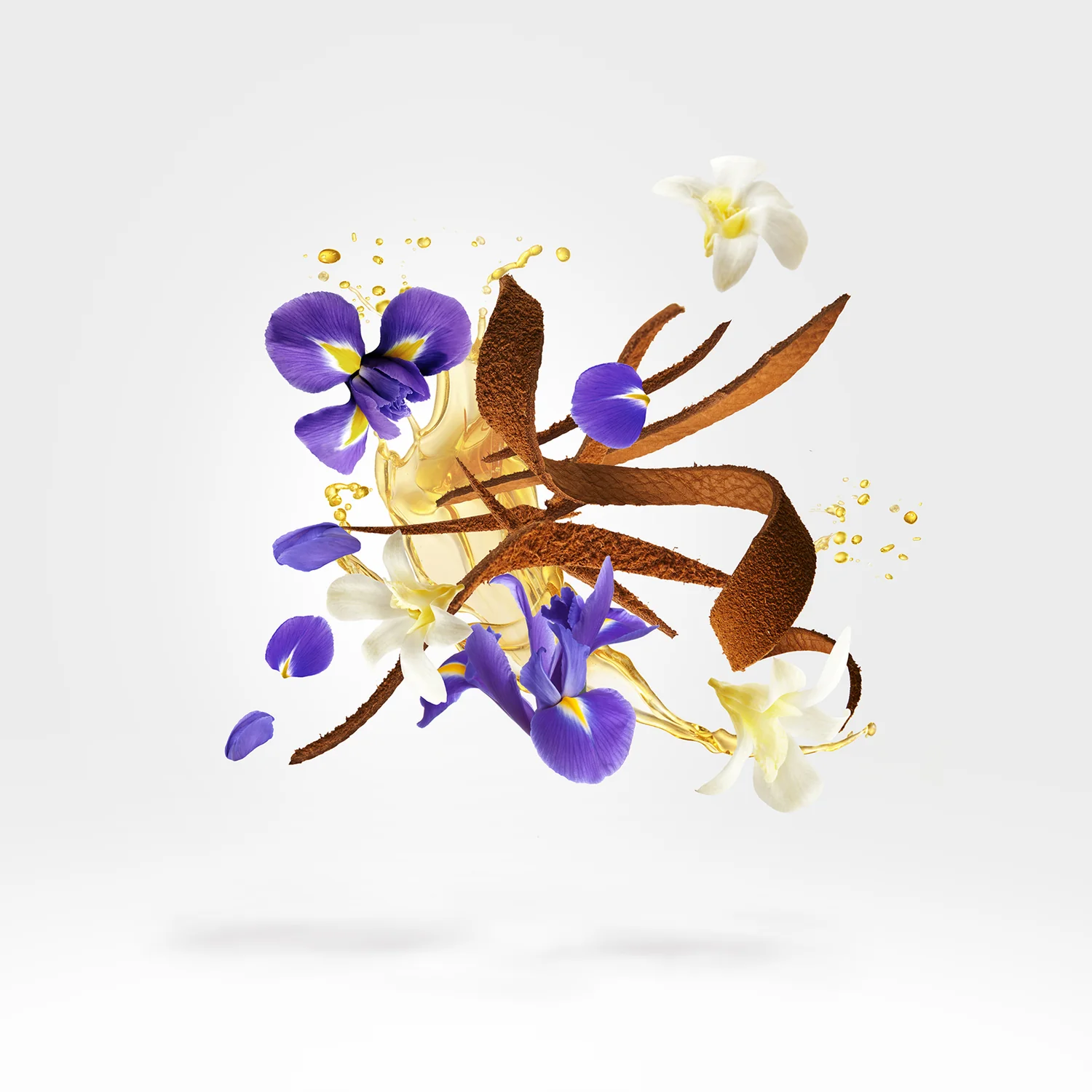 AQUA REGIA - xerjoff-aquaregia-notes.webp