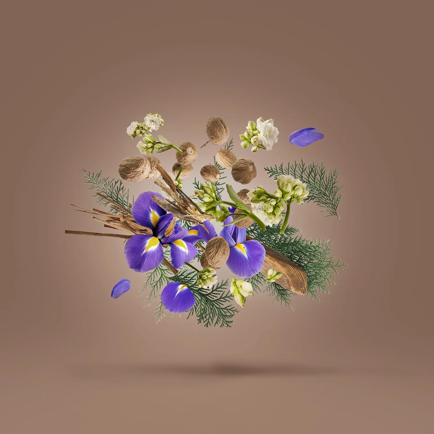 ARIDAL - xerjoff-aridal-notes.webp