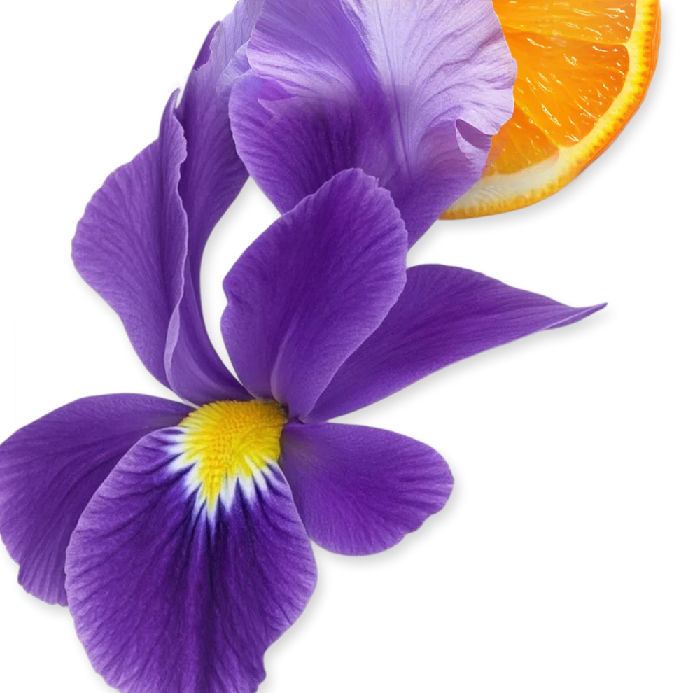 ATHALIA - ATHALIA-PERFUME-75-PACK4-1x1_1_0f1def59-081b-4871-856a-dc2eff1c0ce1.webp