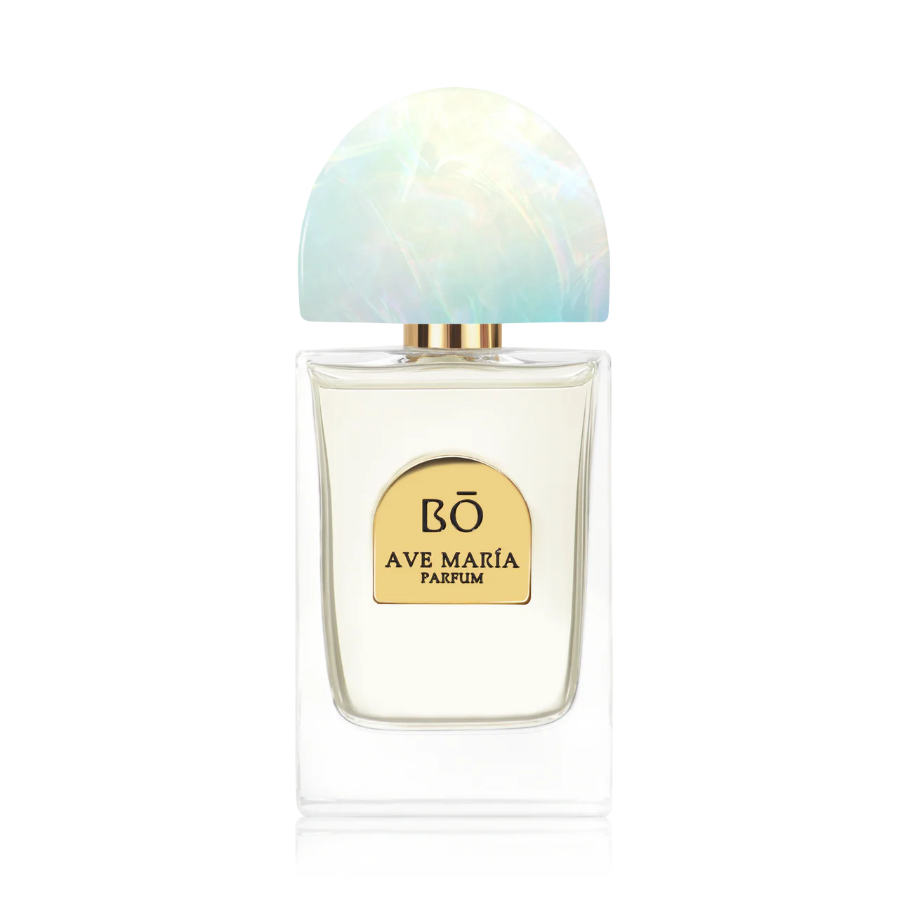 AVE MARÍA - AVE75_d93cd514-4c3d-4414-8917-12741b5b4879_1296x.webp