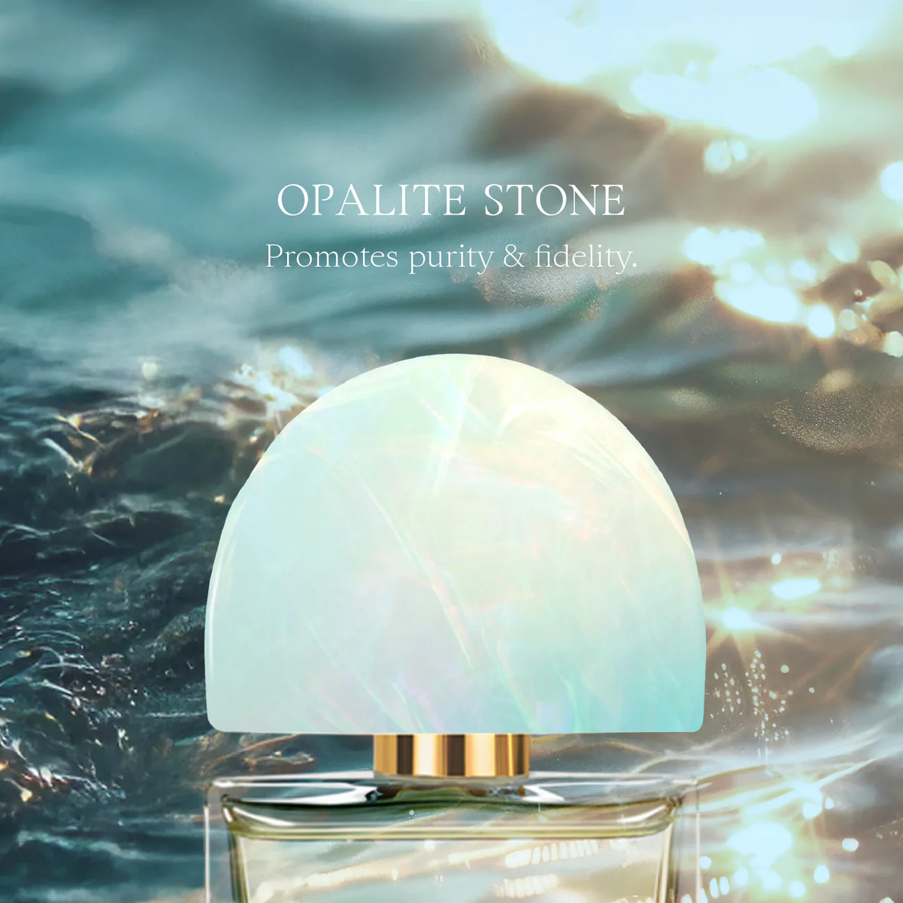 AVE MARÍA - AveCap_1296x.webp