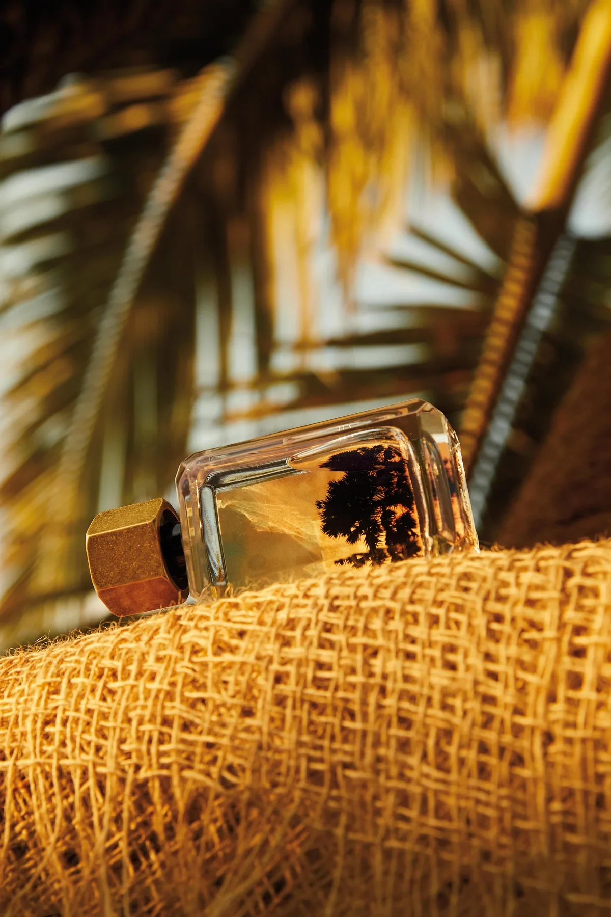 AZAHAR - Azahar_6707RGB_copie_2_1200x1800.webp