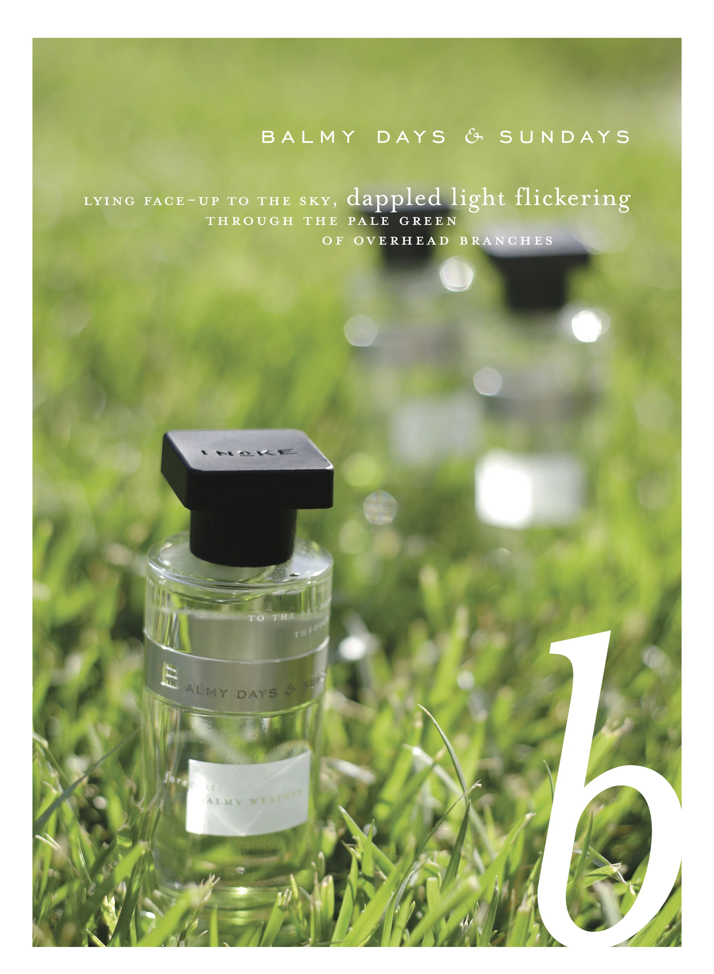 BALMY DAYS AND SUNDAYS - Ineke-Text-vol6_B_1.webp