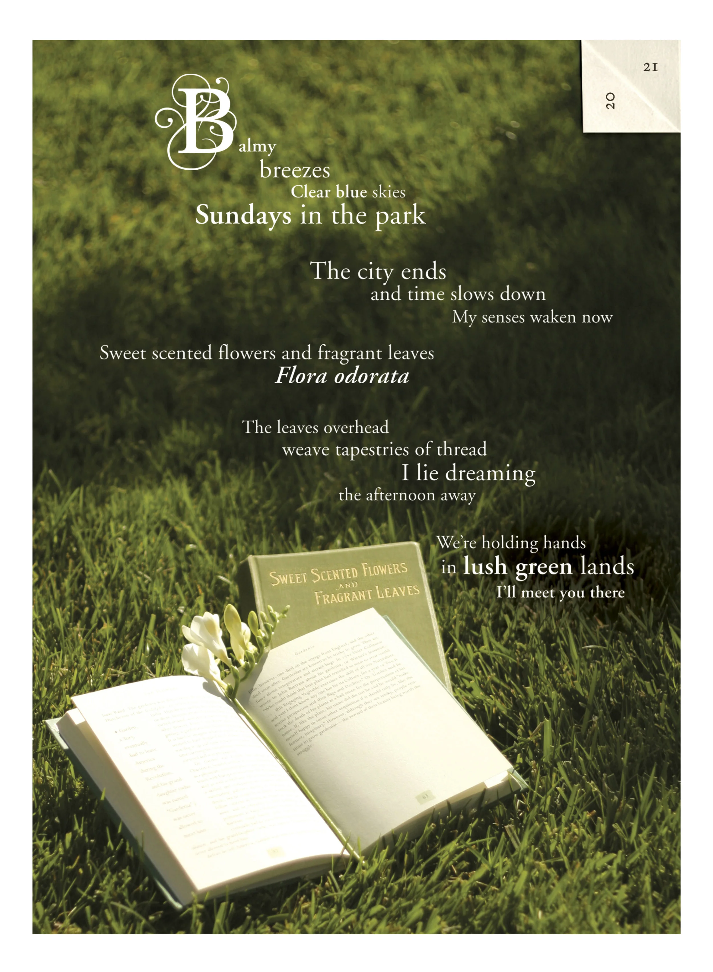 BALMY DAYS AND SUNDAYS - Ineke-Text-vol6_B_2.webp