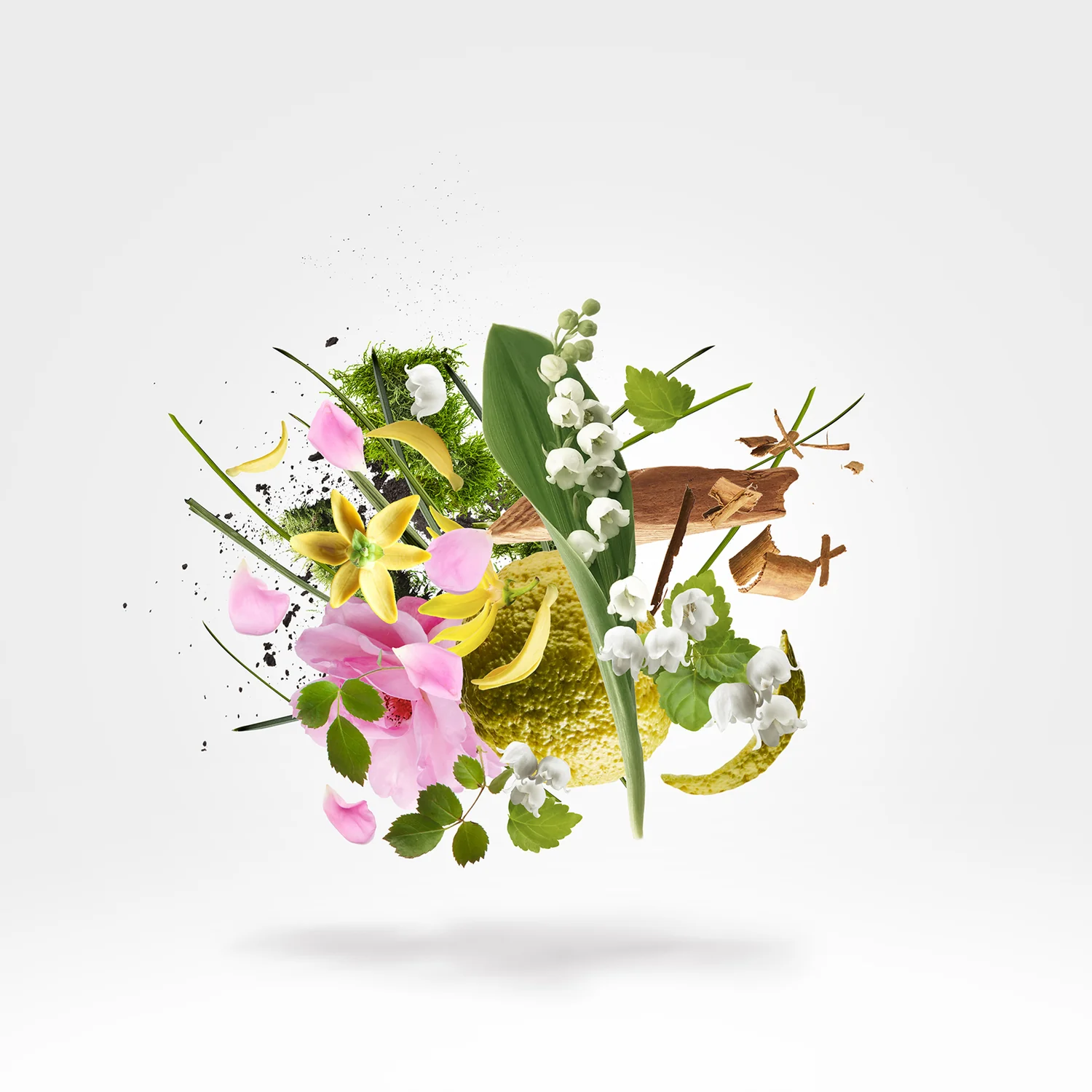 BEGUM - xerjoff-begum-notes.webp