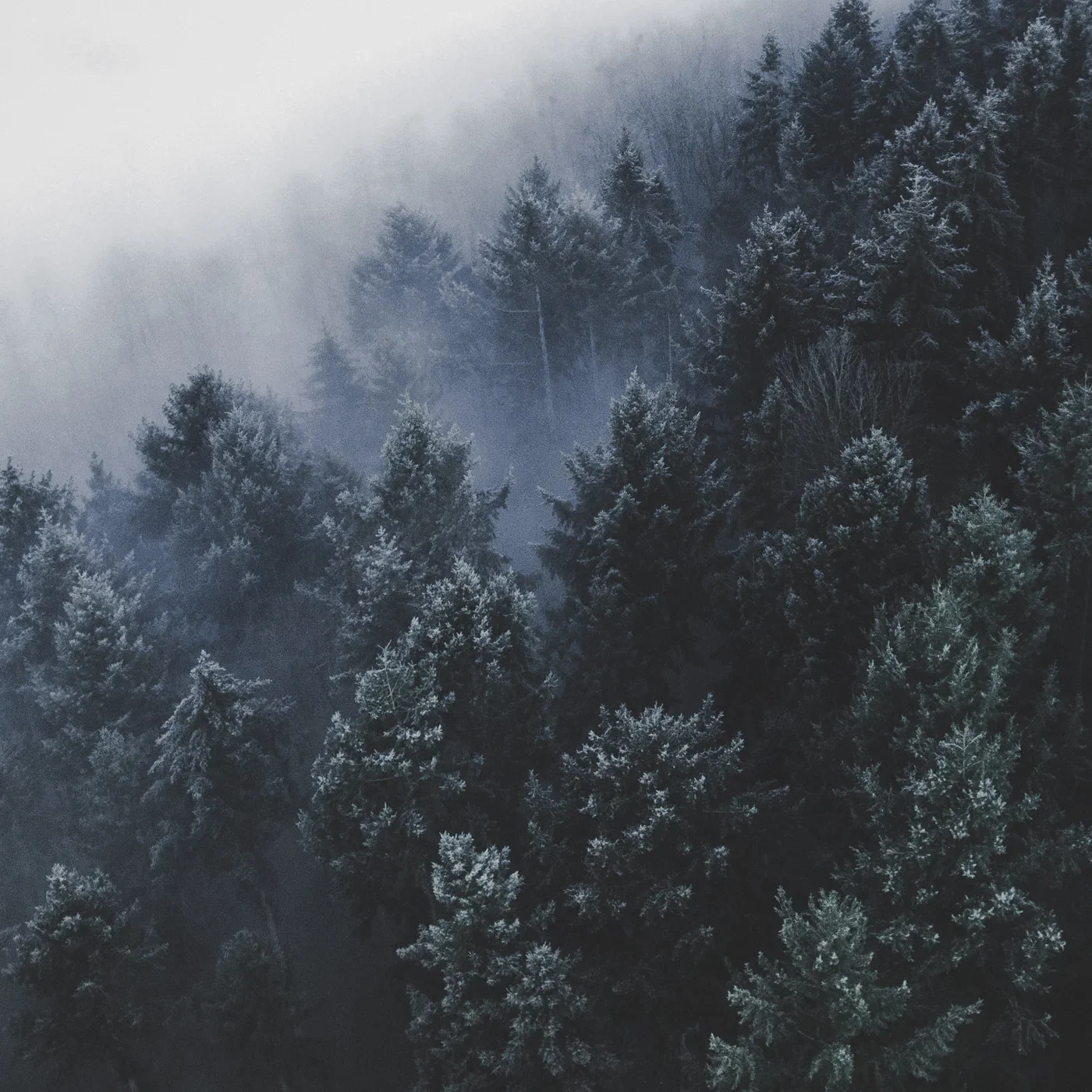 BIG SUR - big_sur.webp