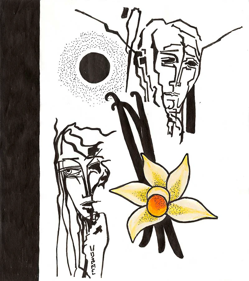 Black Flower Mexican Vanilla - Dame_VDD_Art_Black_Flower_Final_800x902_1c4f4771-b0b9-4698-ae9f-6093785aa3b8_1296x.webp