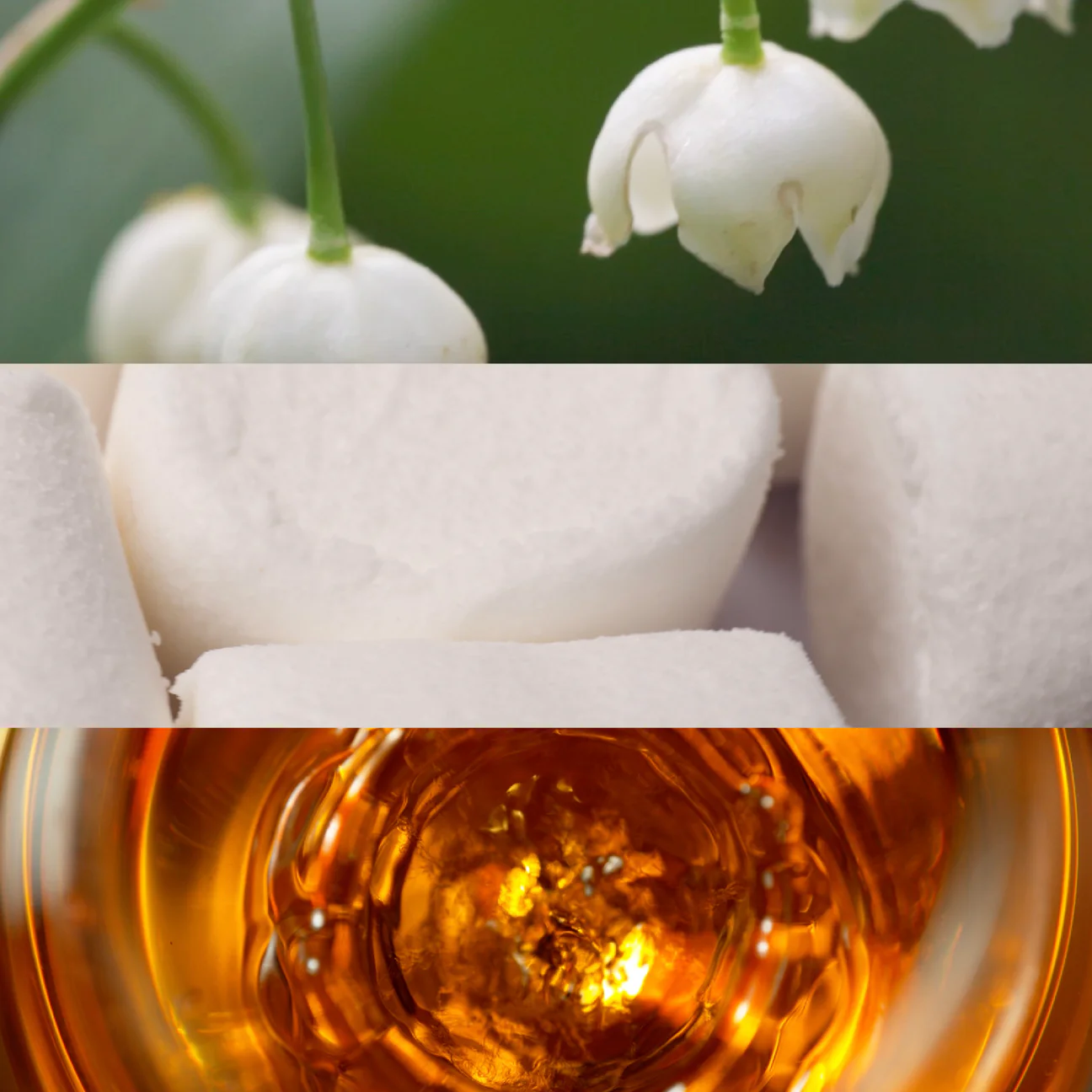 BOMBÓN - BOMIngredients_1296x.webp