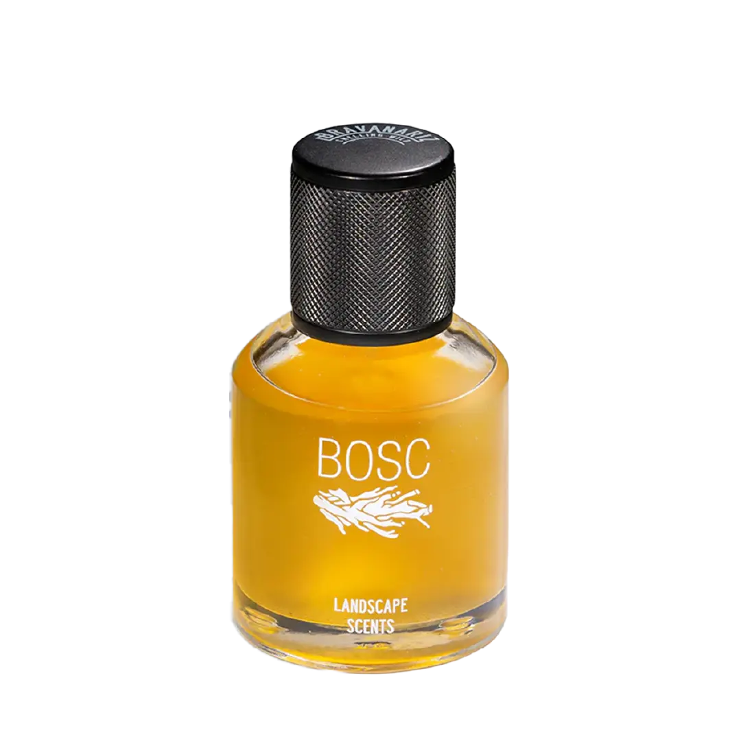 BOSC - image_4ed6c1b8-5e99-4f1a-bf37-c5a7911de7a8_1080x@1.5x.webp