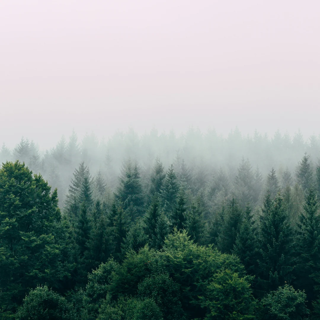 BREATHE - AkroBreathelifestyle_1080x.webp