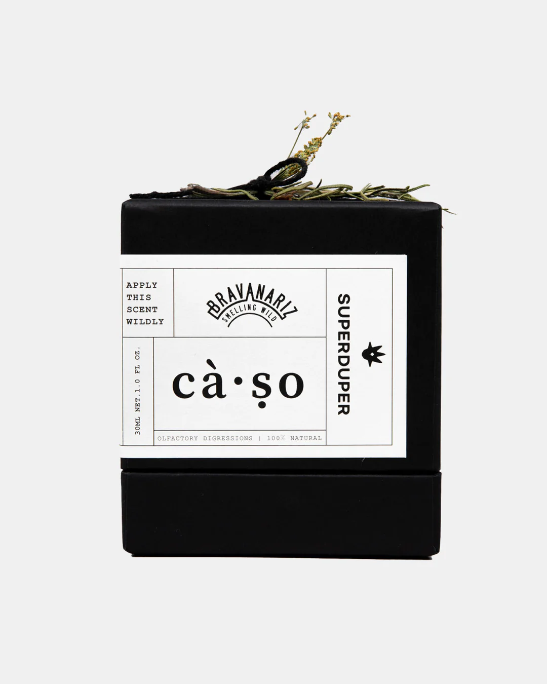 CÀ·SO - image_2a8d5590-10d6-4f04-a162-ca4c2fdabd61_1080x.webp