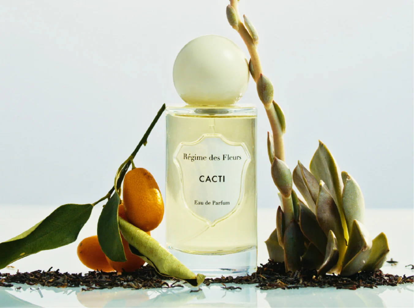 CACTI - Cacti-1.webp