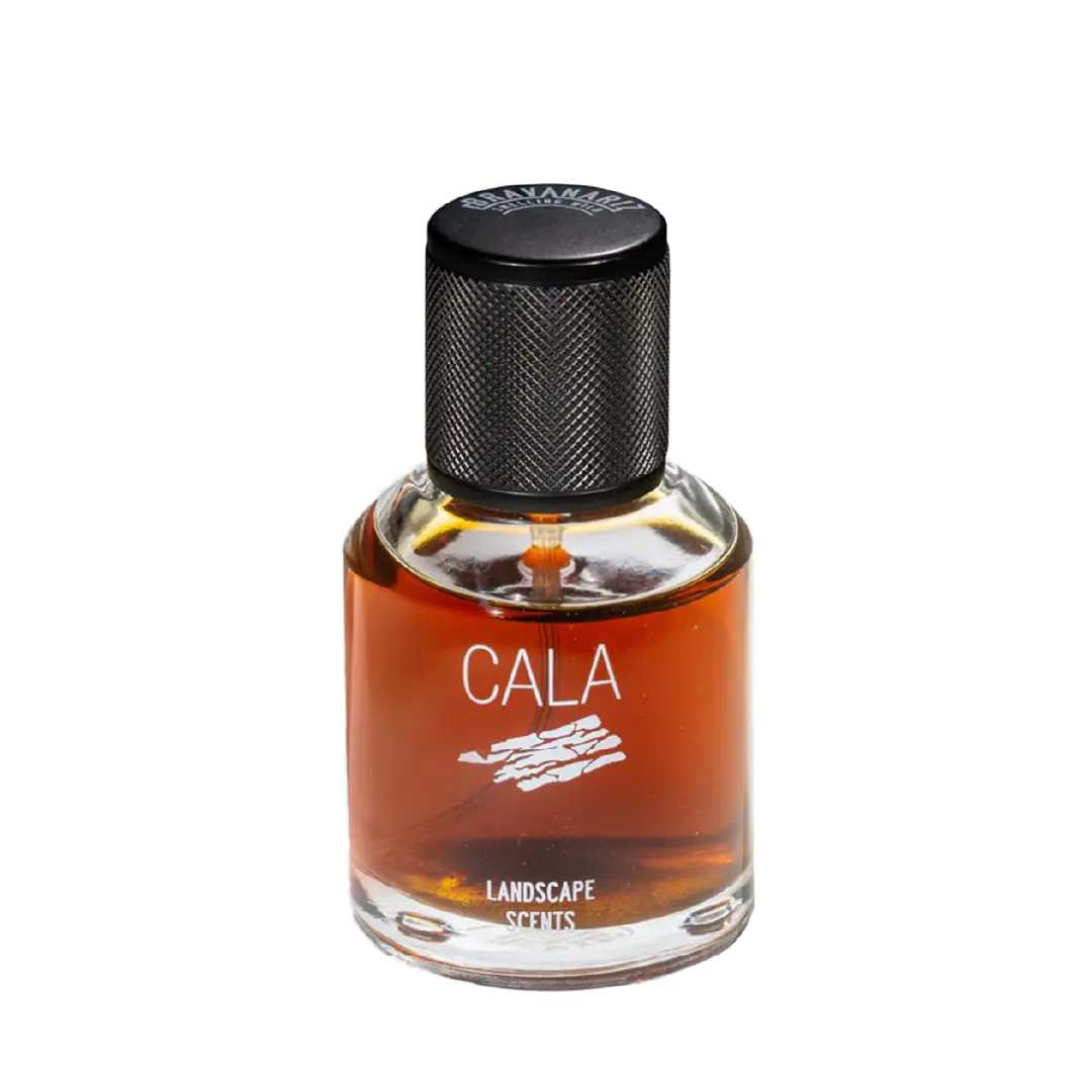 CALA - image_fb2fdd17-cd8b-4af8-bc19-bab134e6192c_1080x@1.5x.webp