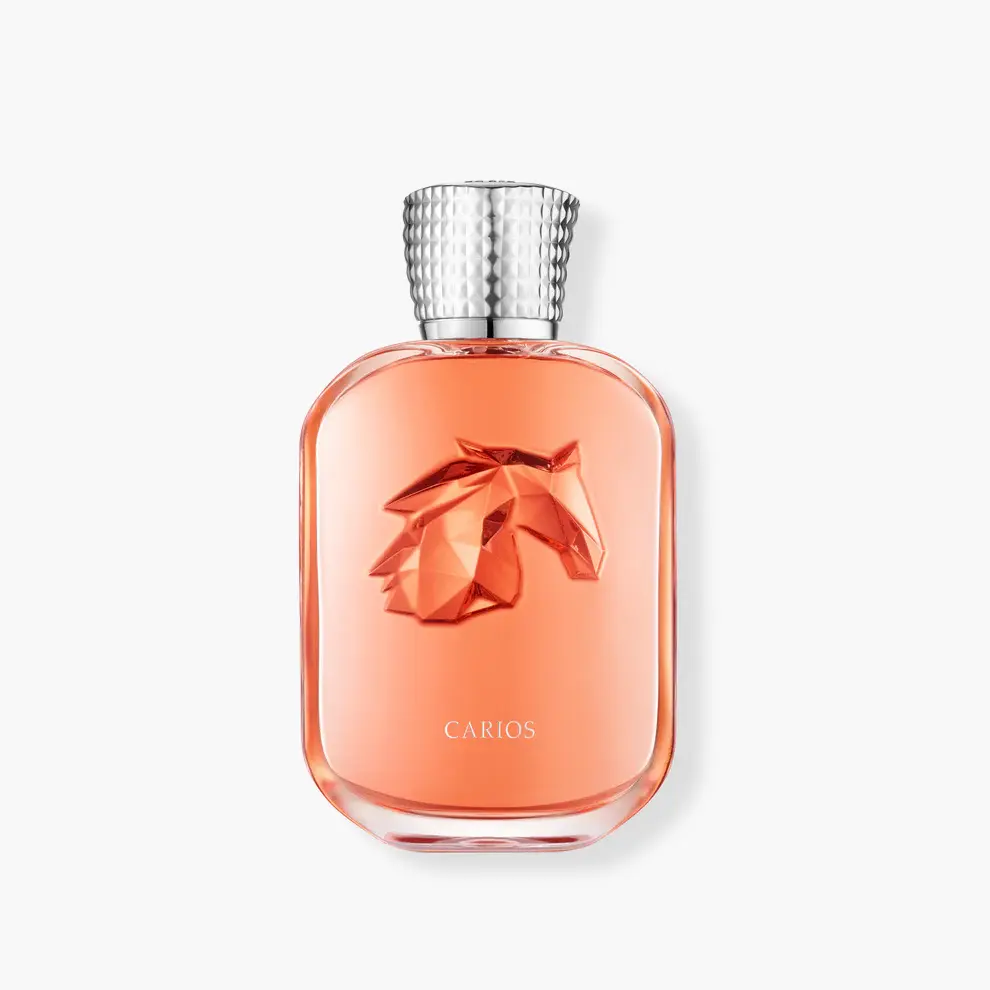 CARIOS - Packshot_Carios_face_avec_ombre_1x1_2_893931ba-f11c-4ca9-94fd-300c8a61b4d9.webp